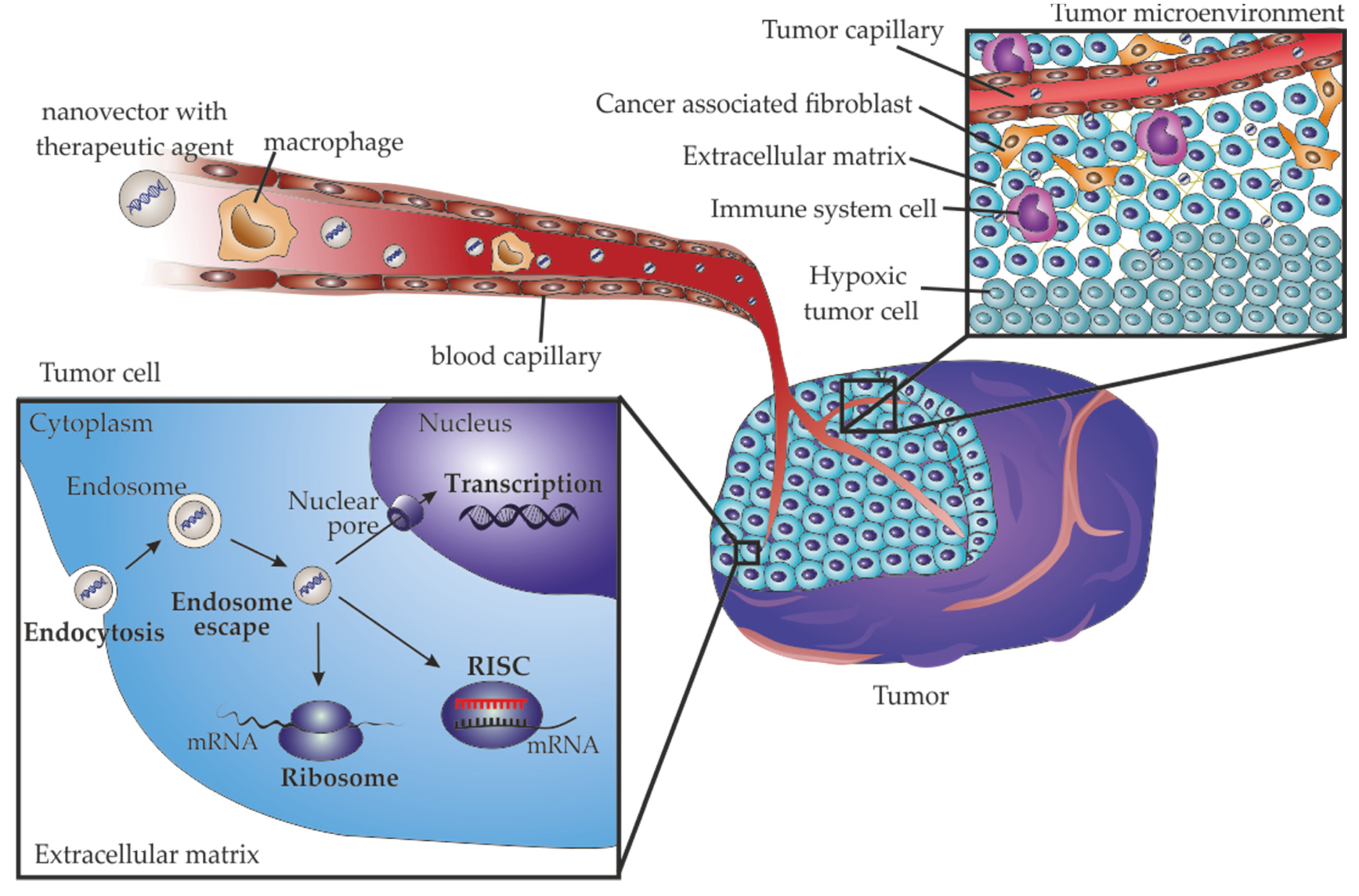 Pharmaceutics 12 00233 g002 Pharmaceutics 12 00233 g002