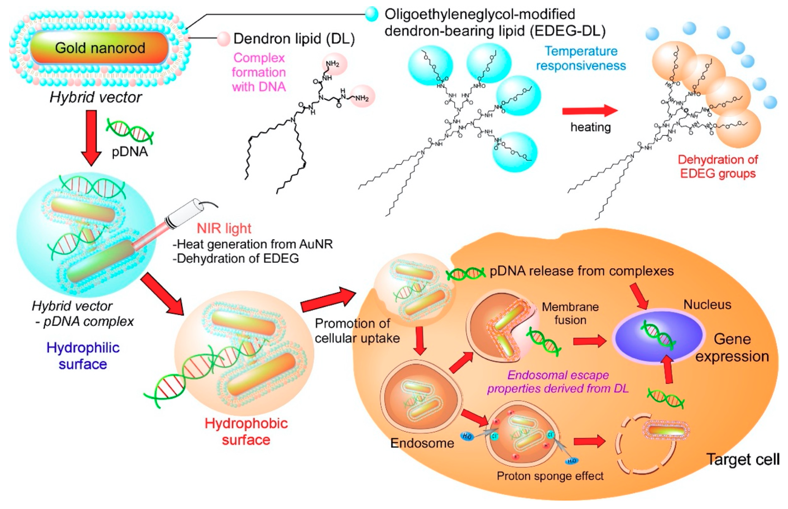 Pharmaceutics 12 00239 g001