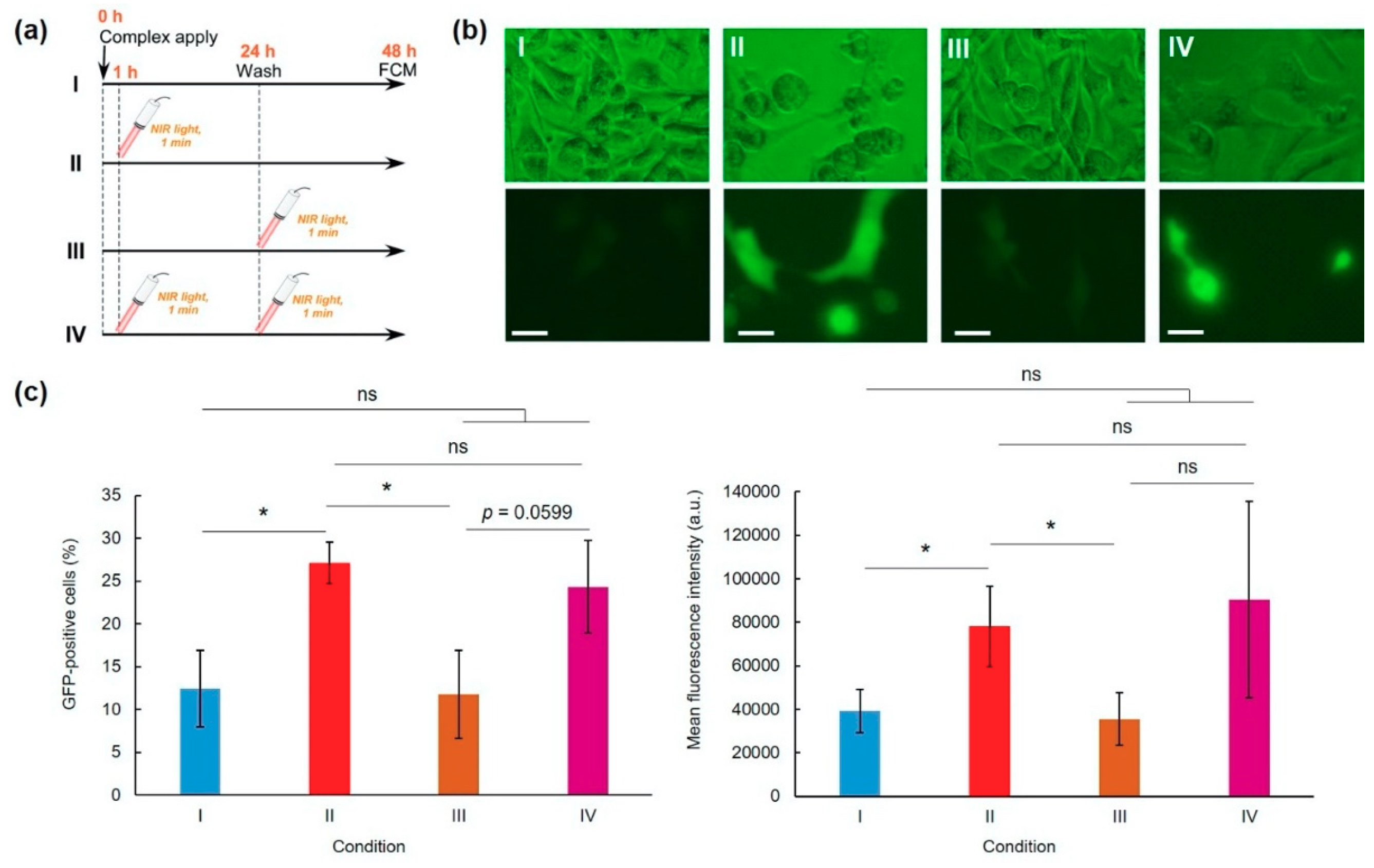 Pharmaceutics 12 00239 g003