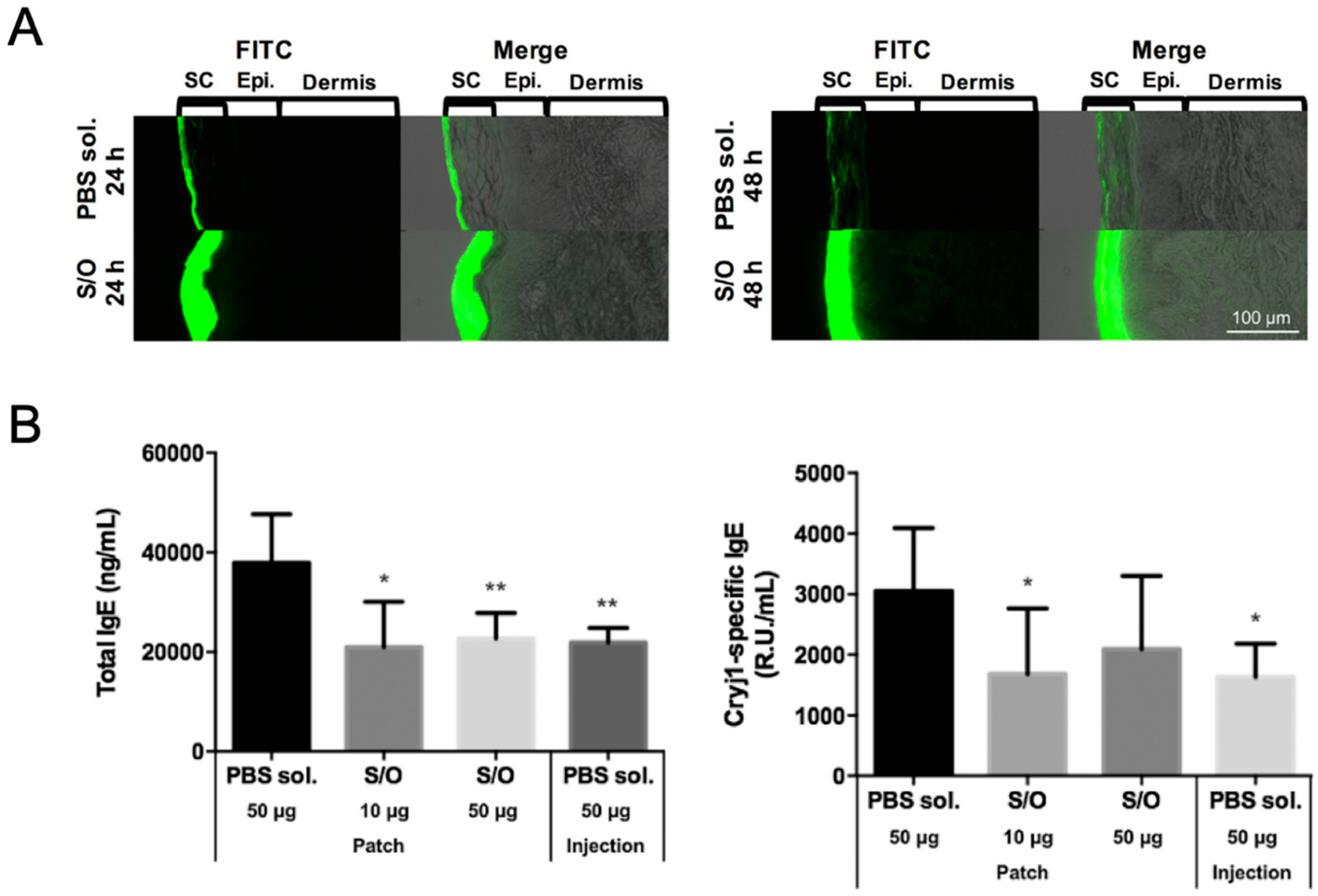 Pharmaceutics 12 00240 g004 Pharmaceutics 12 00240 g004