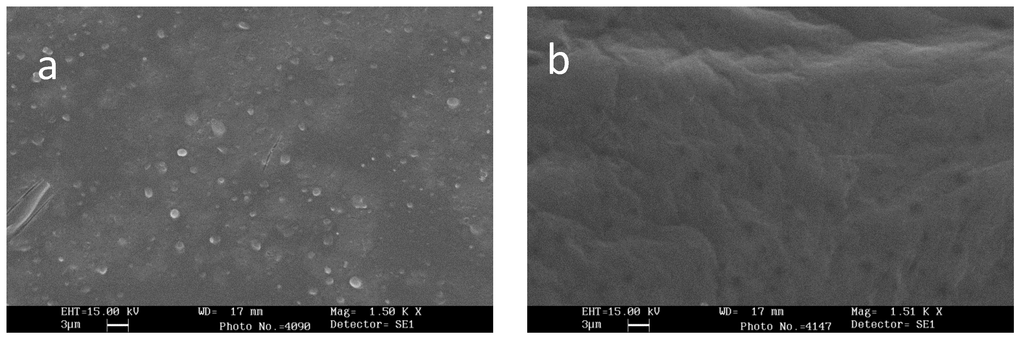 Pharmaceutics 12 00241 g001 Pharmaceutics 12 00241 g001