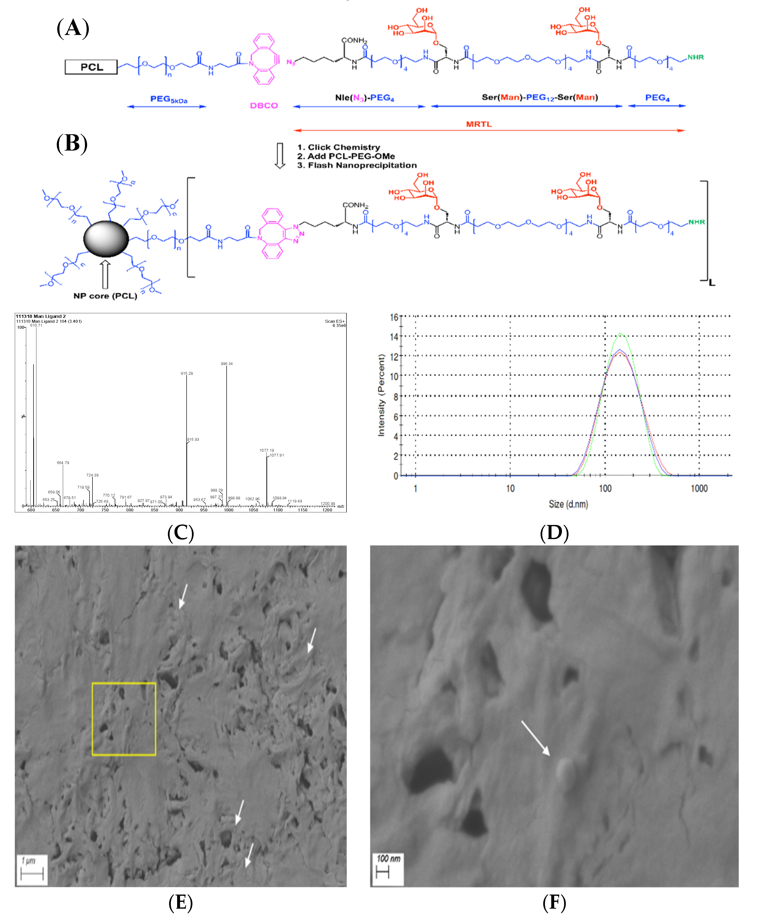 Pharmaceutics 12 00243 g001 Pharmaceutics 12 00243 g001