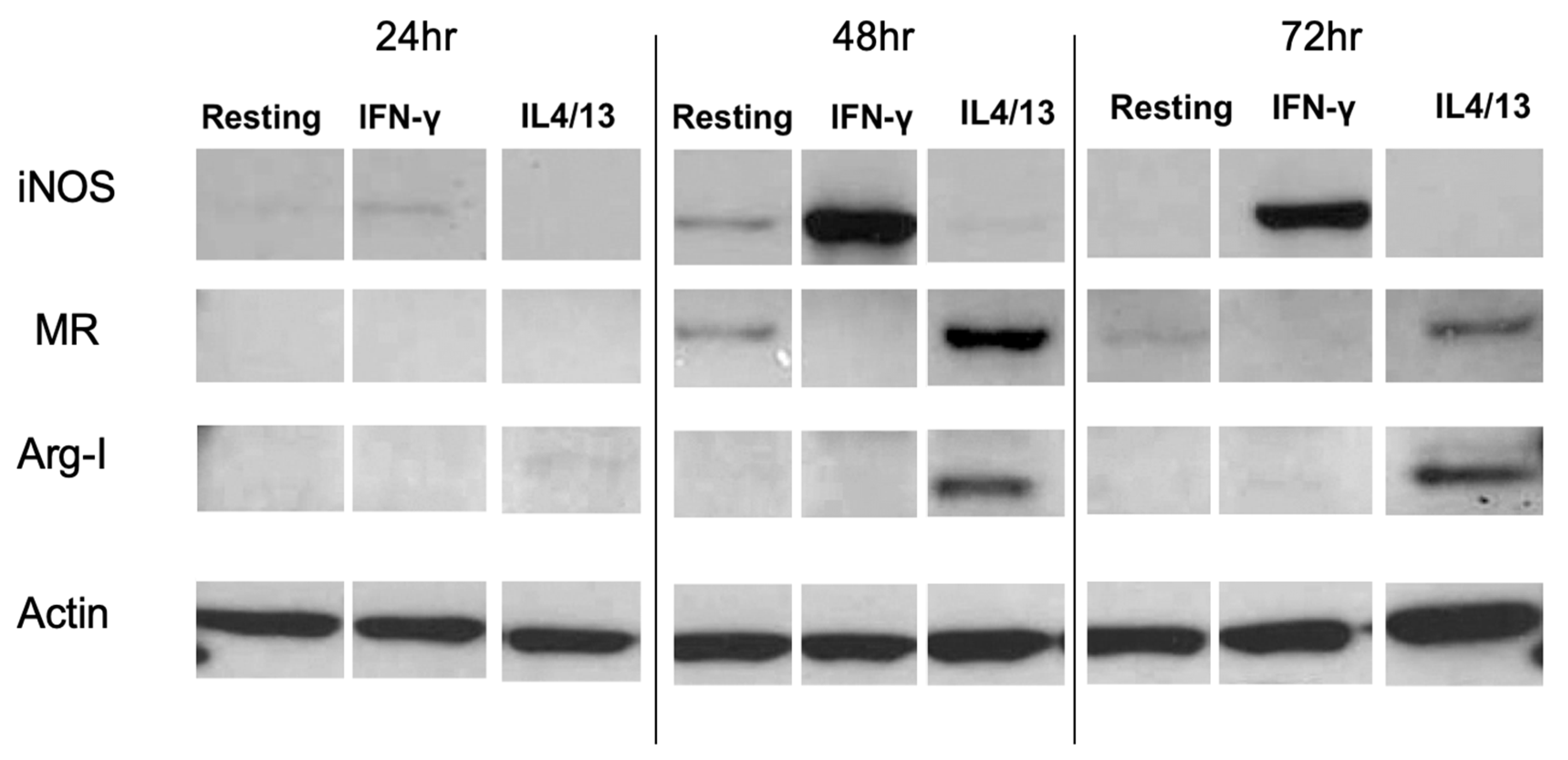 Pharmaceutics 12 00243 g003 Pharmaceutics 12 00243 g003