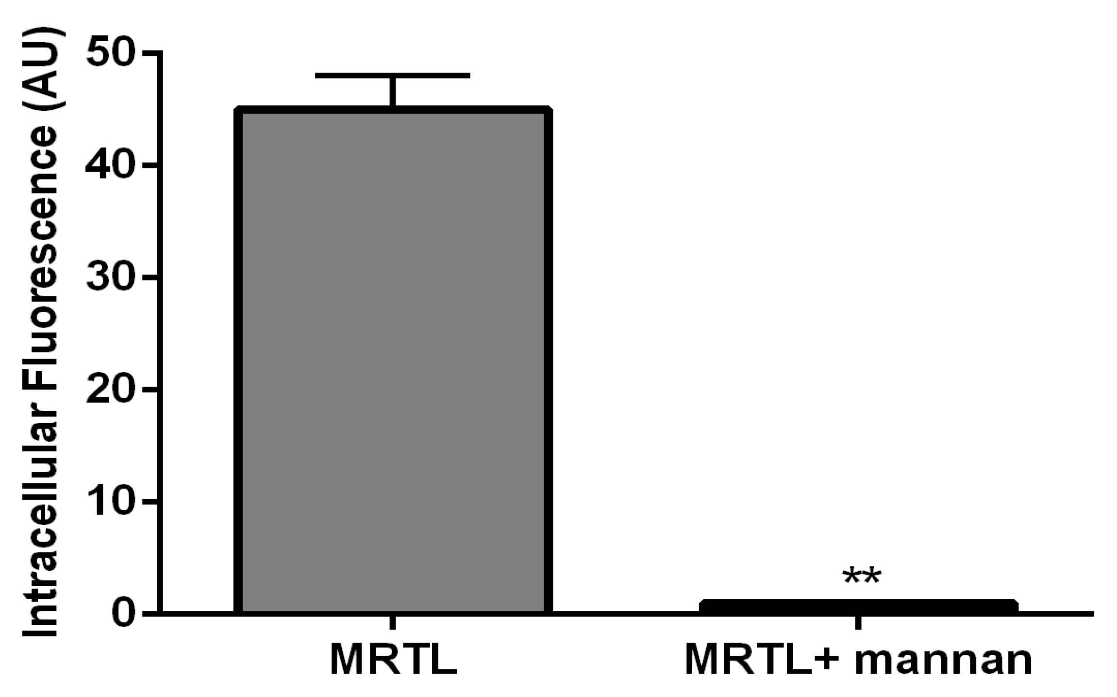 Pharmaceutics 12 00243 g006 Pharmaceutics 12 00243 g006