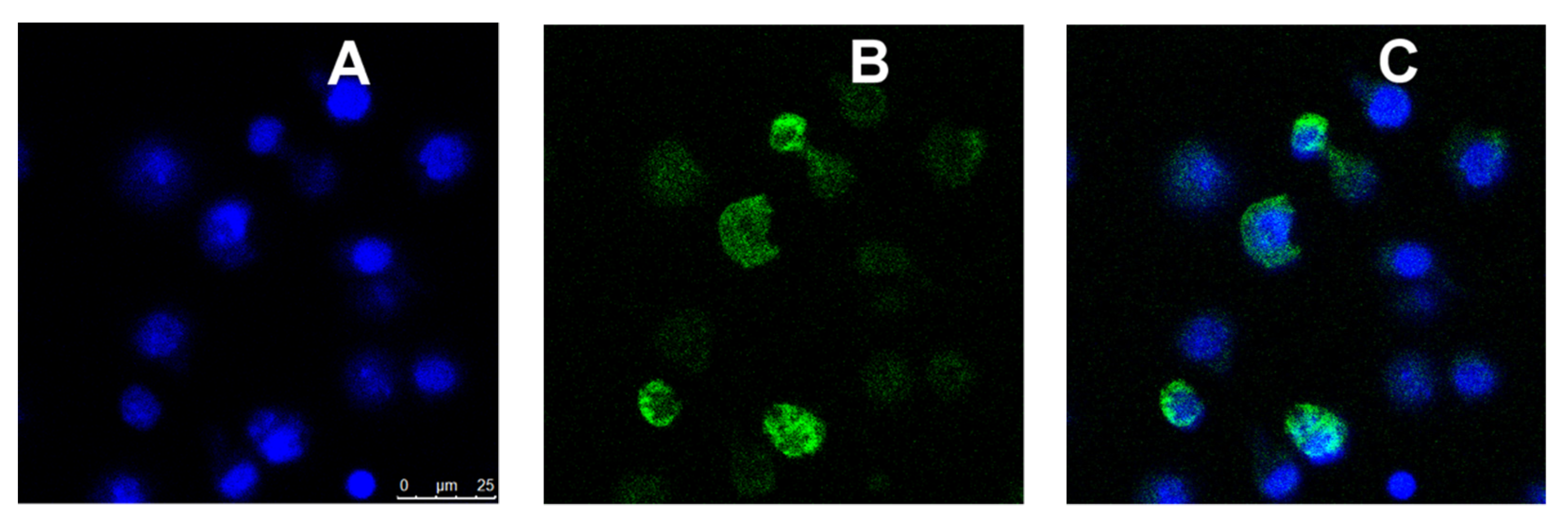 Pharmaceutics 12 00243 g008 Pharmaceutics 12 00243 g008