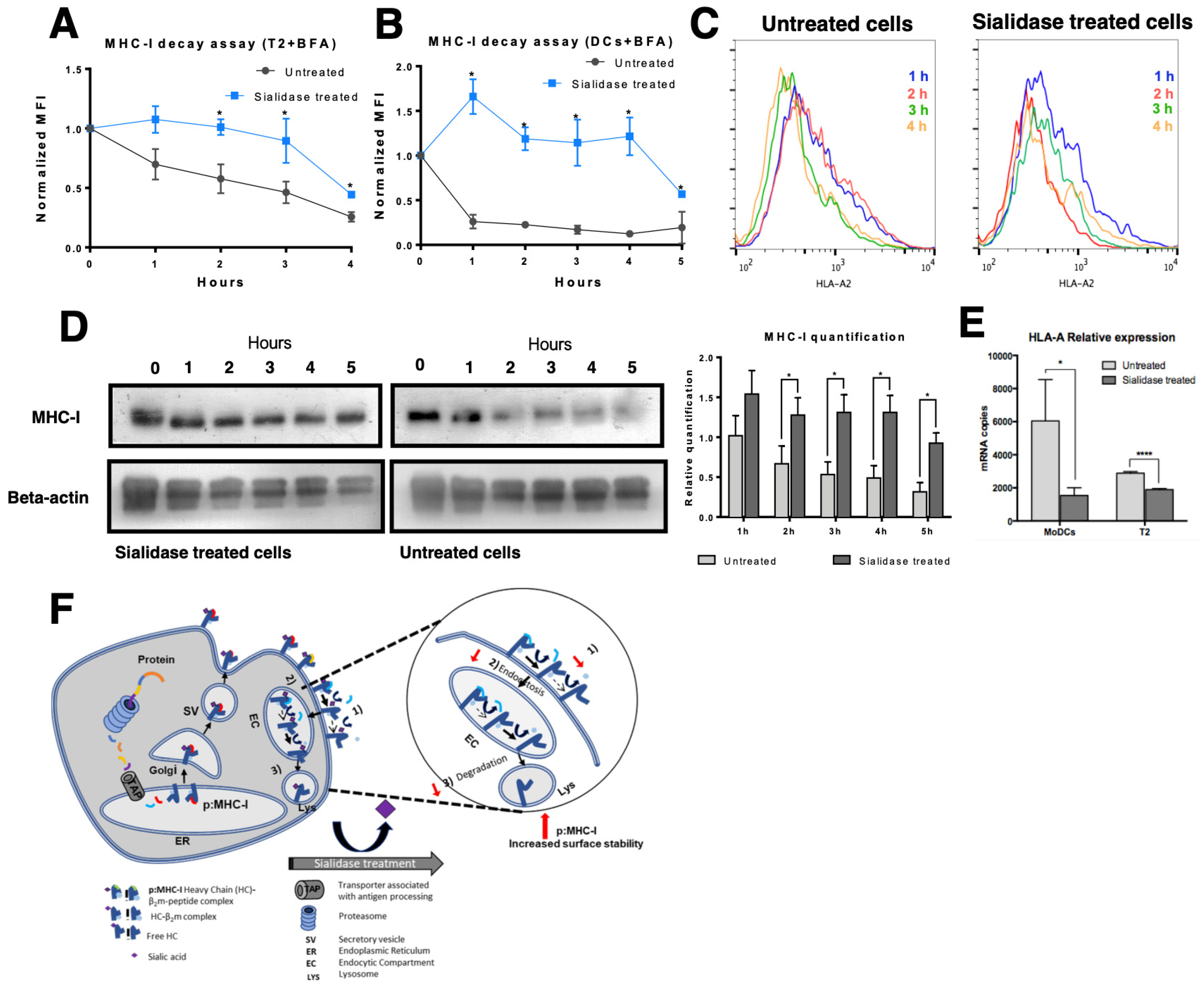 Pharmaceutics 12 00249 g005 Pharmaceutics 12 00249 g005