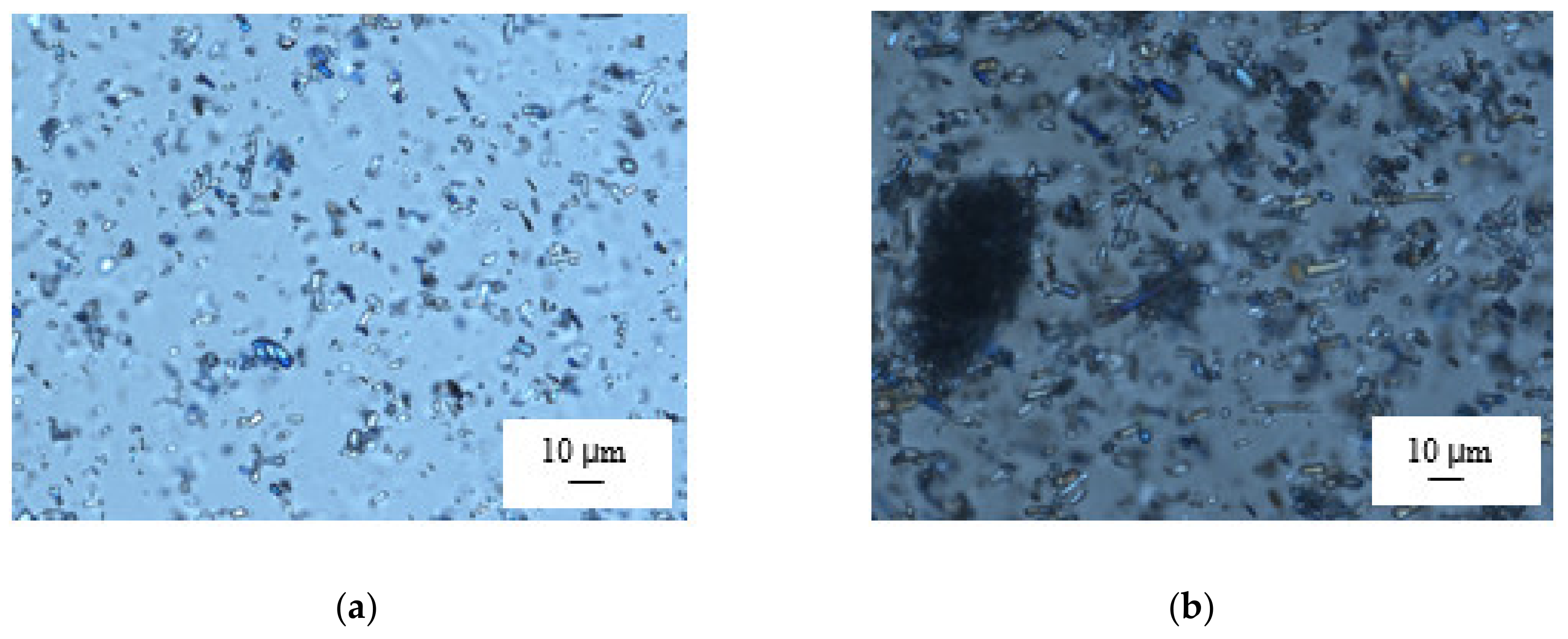 Pharmaceutics 12 00250 g002