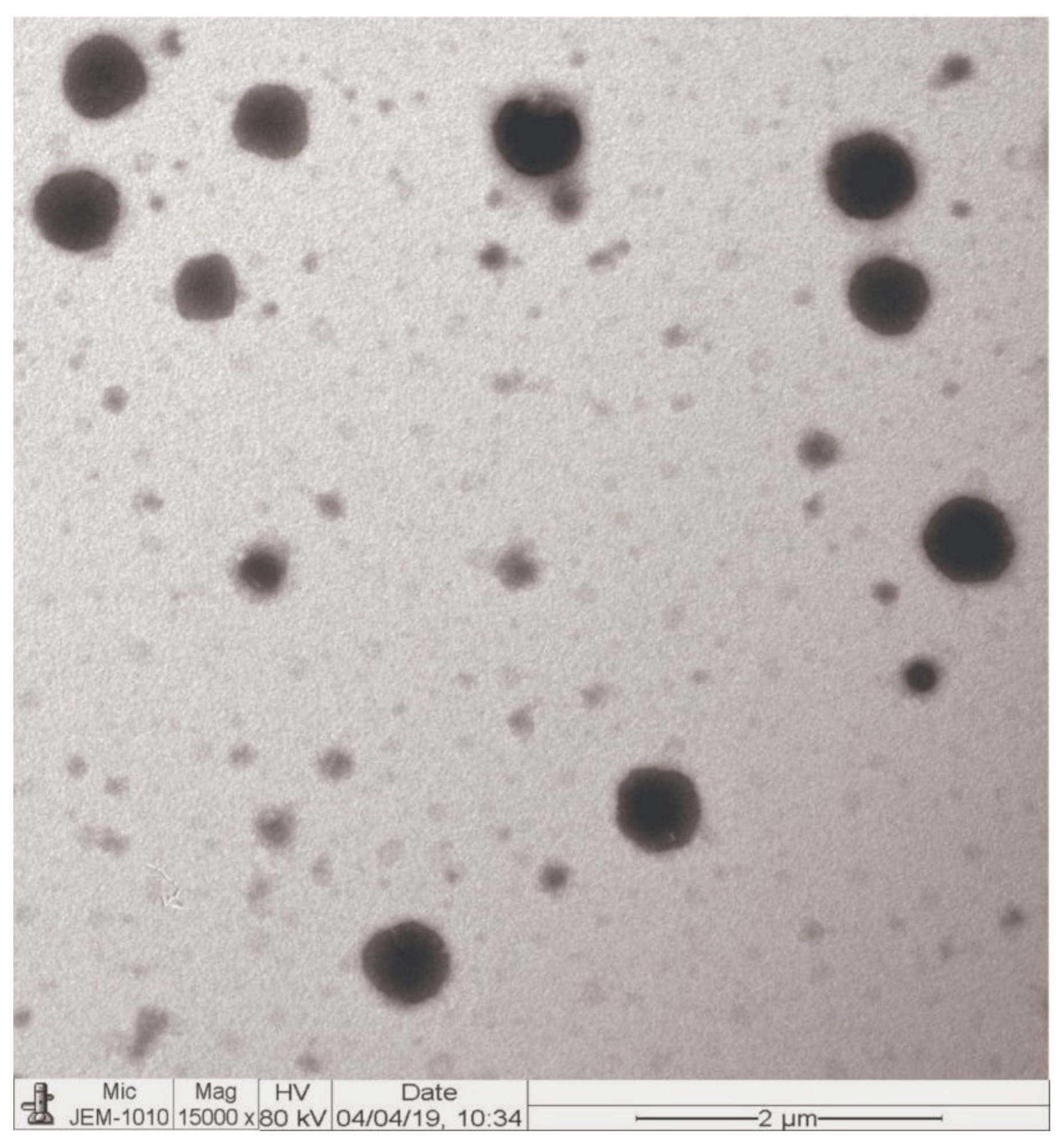 Pharmaceutics 12 00252 g004