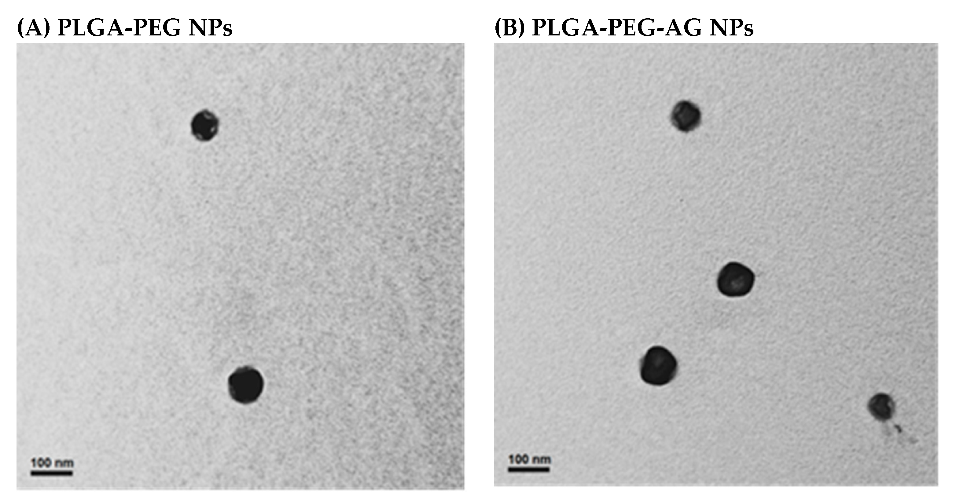 Pharmaceutics 12 00254 g001a Pharmaceutics 12 00254 g001a