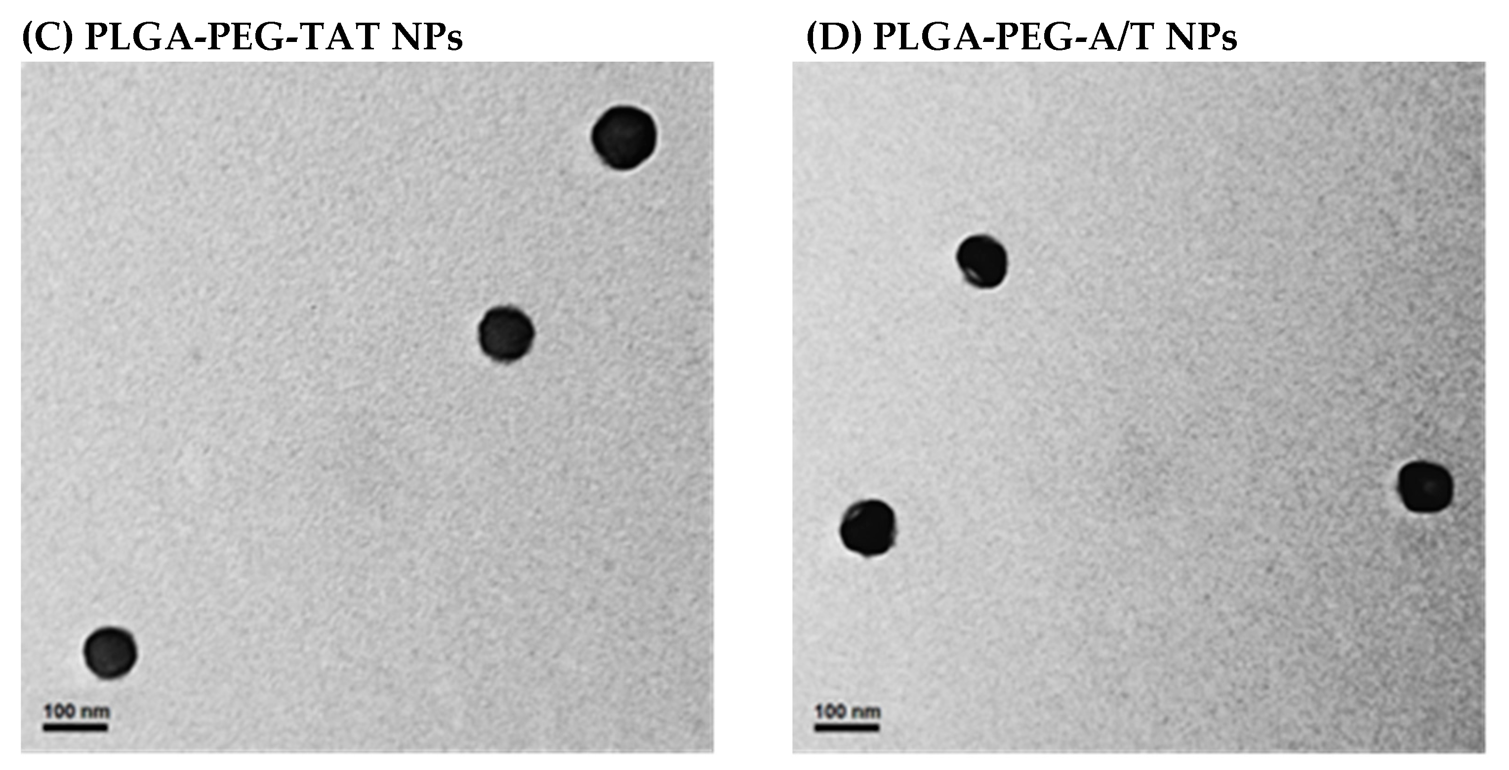 Pharmaceutics 12 00254 g001b Pharmaceutics 12 00254 g001b