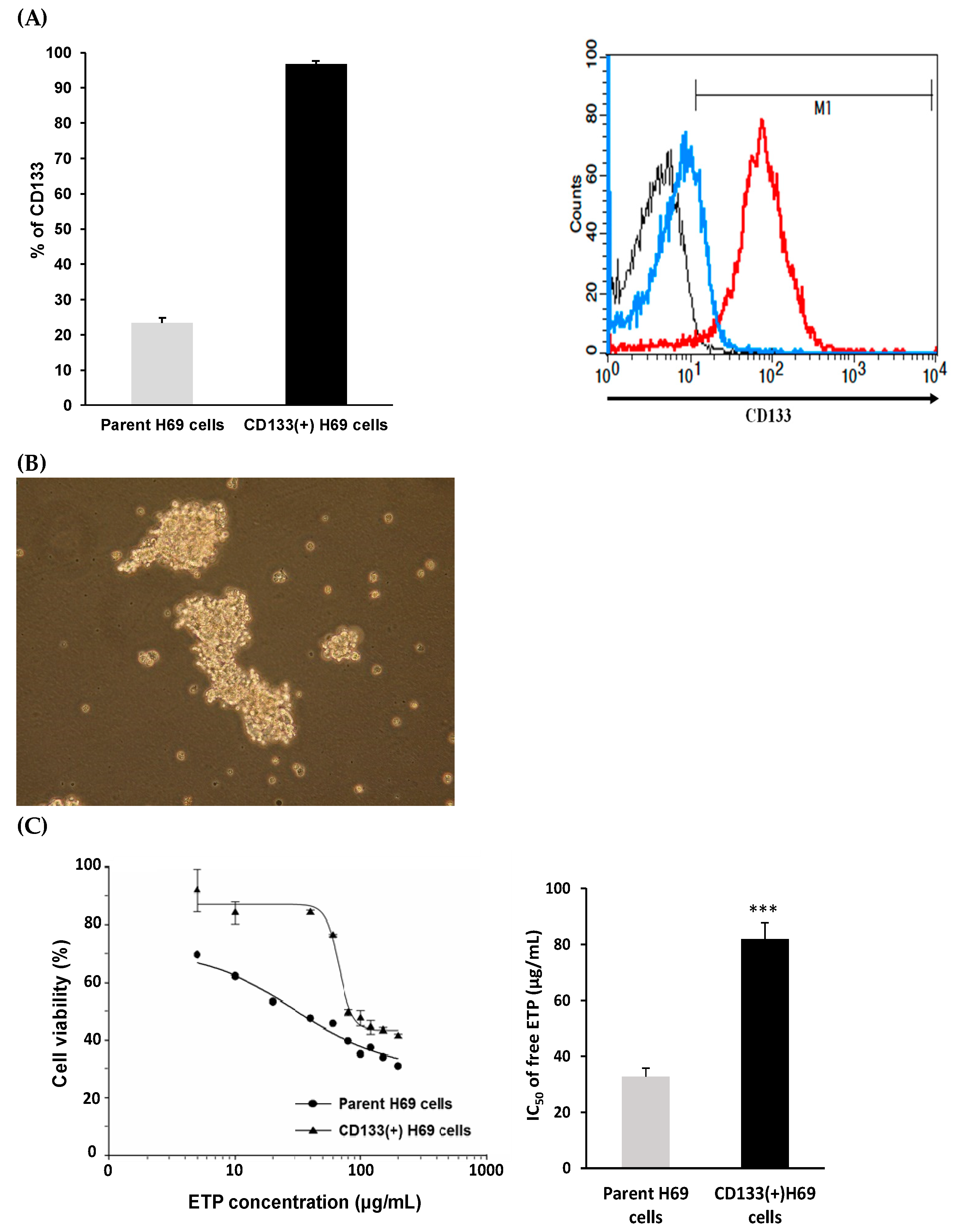 Pharmaceutics 12 00254 g003 Pharmaceutics 12 00254 g003