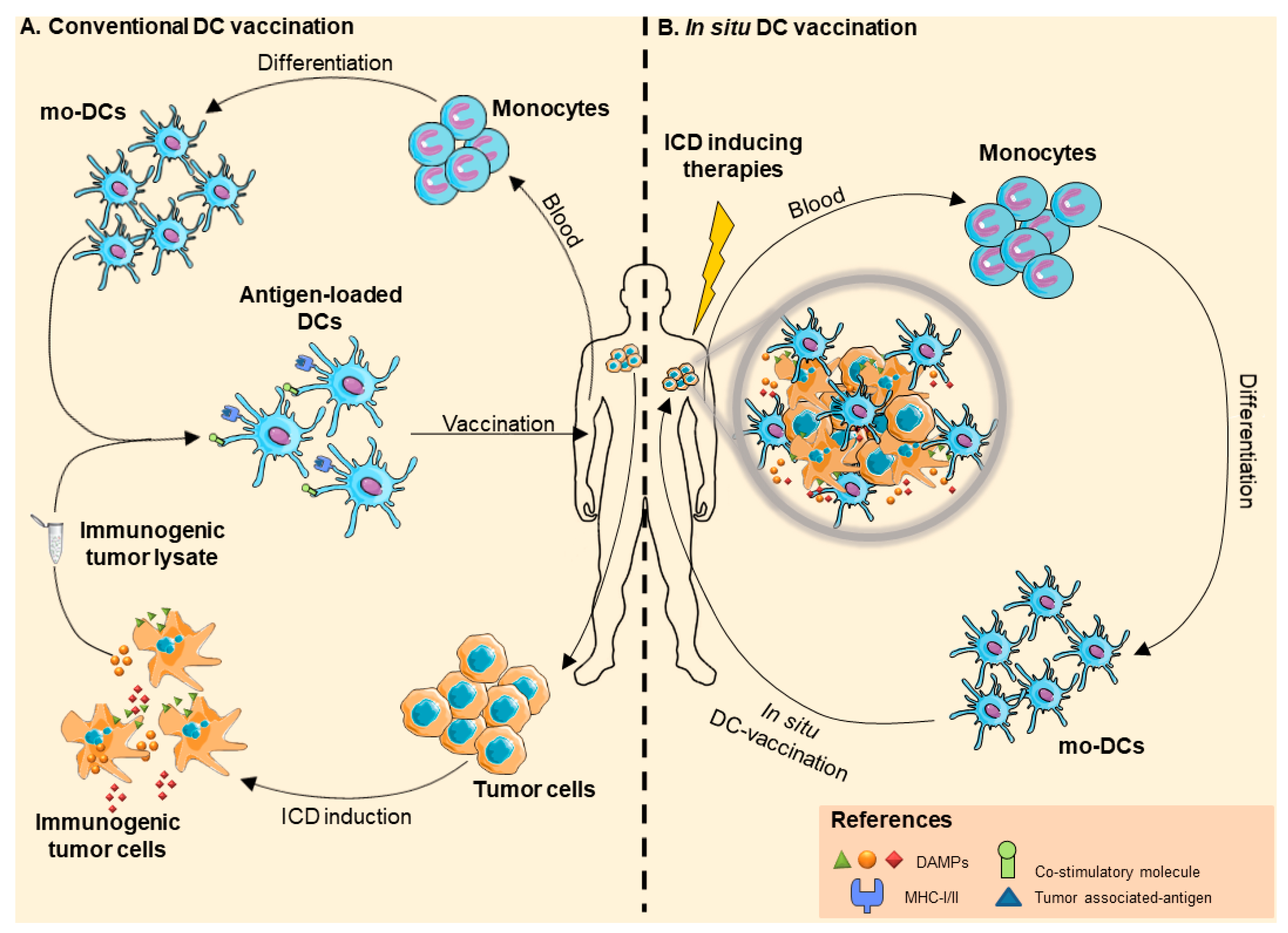 Pharmaceutics 12 00256 g002 Pharmaceutics 12 00256 g002