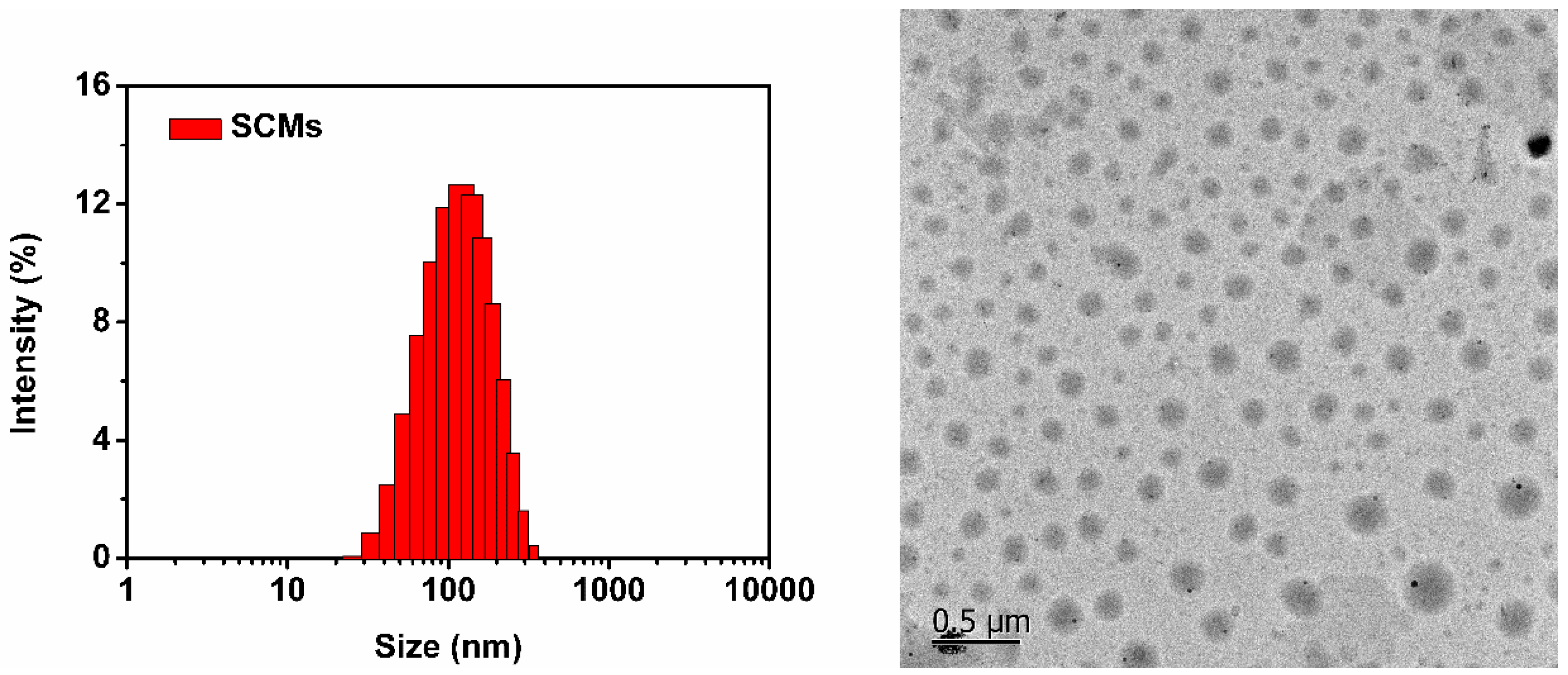 Pharmaceutics 12 00258 g006