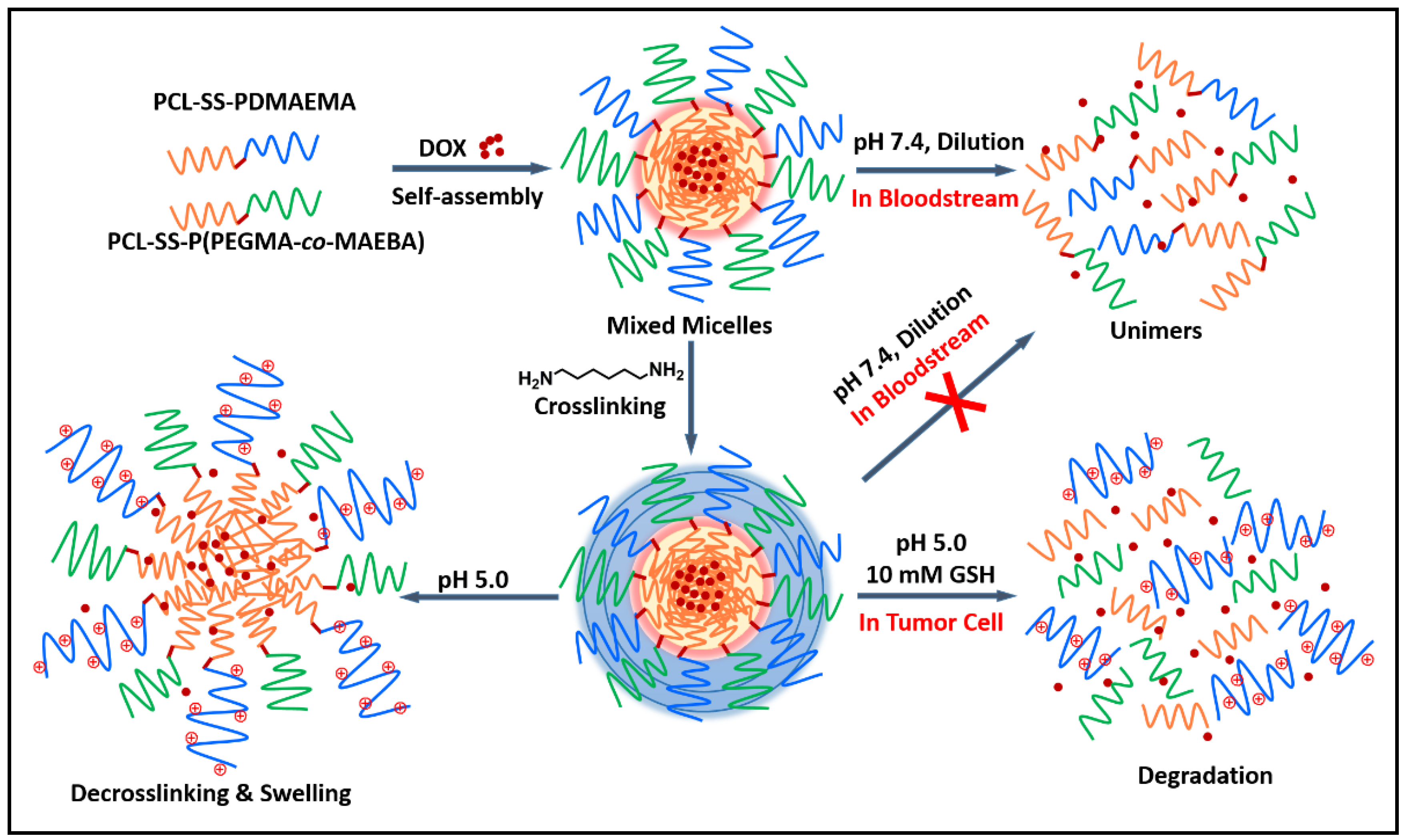 Pharmaceutics 12 00258 sch001