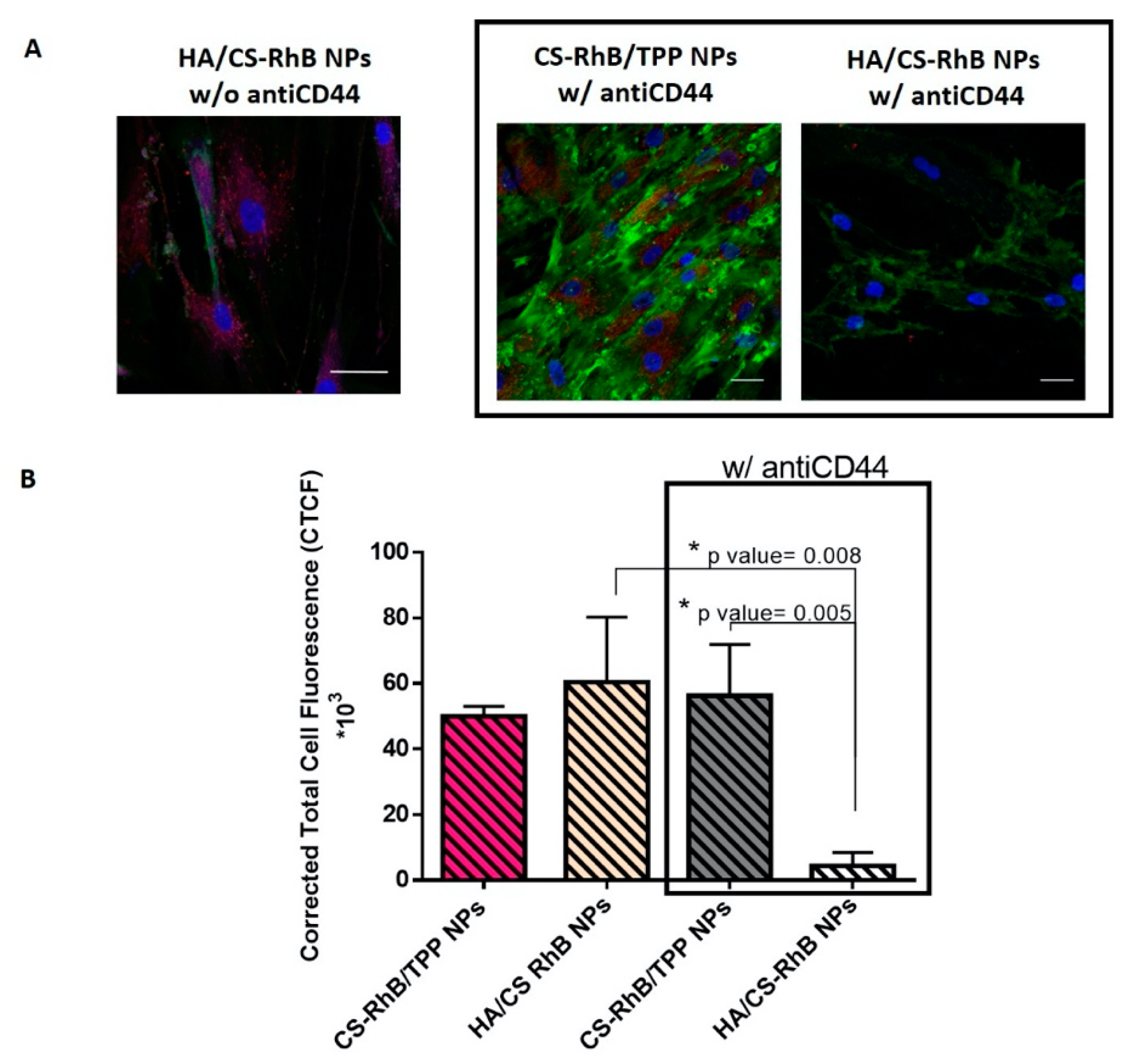 Pharmaceutics 12 00260 g004