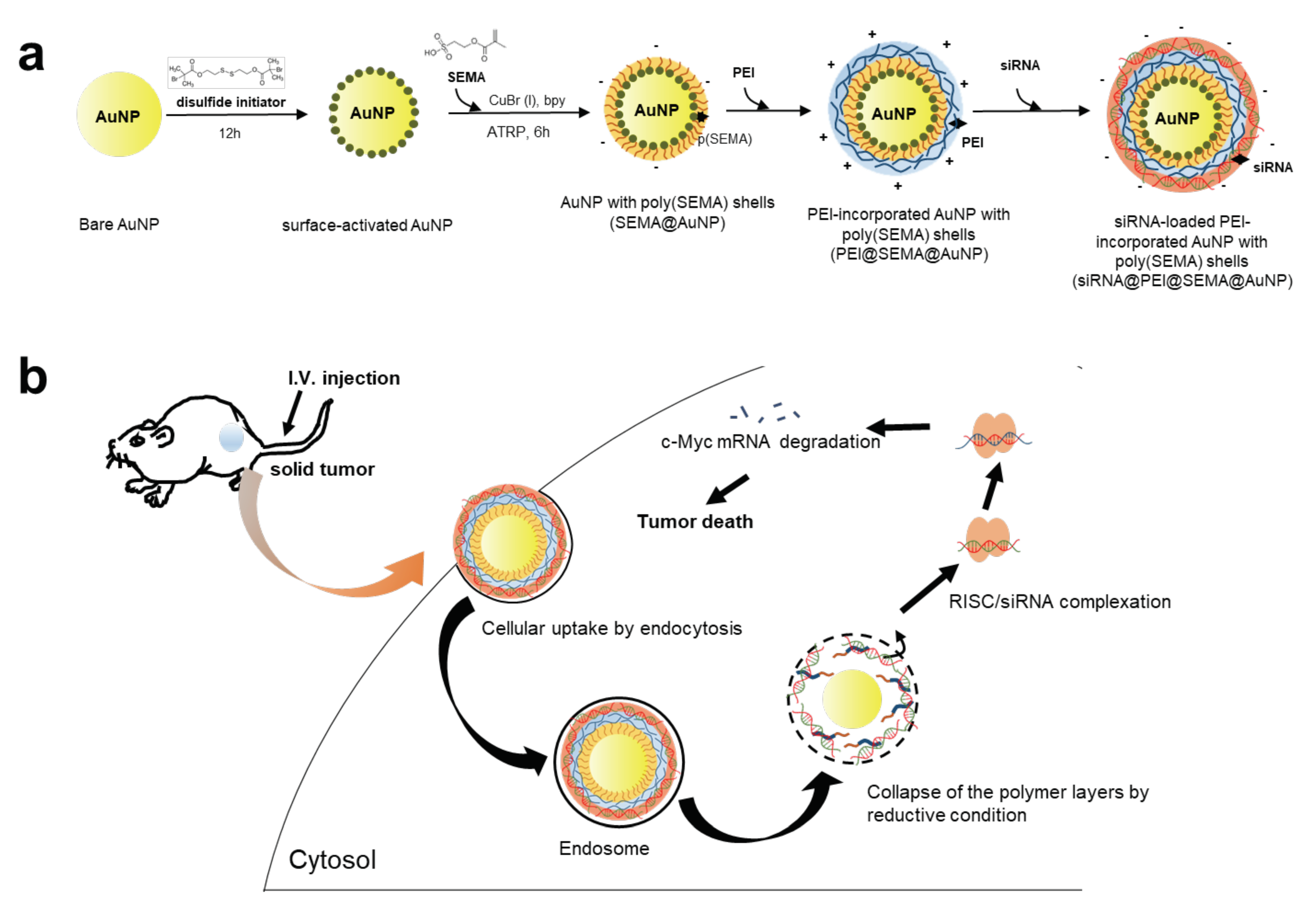 Pharmaceutics 12 00261 g001