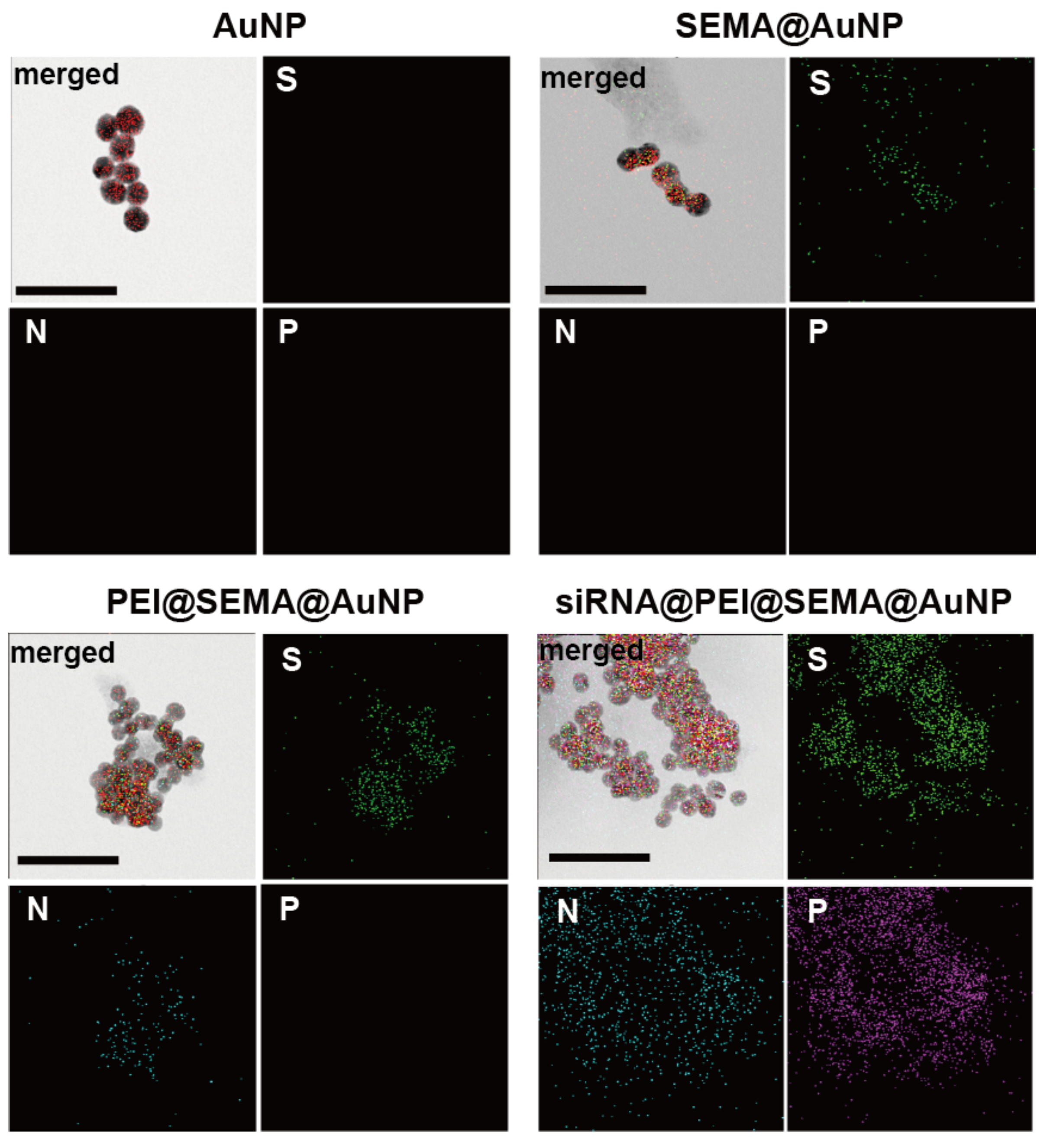 Pharmaceutics 12 00261 g004