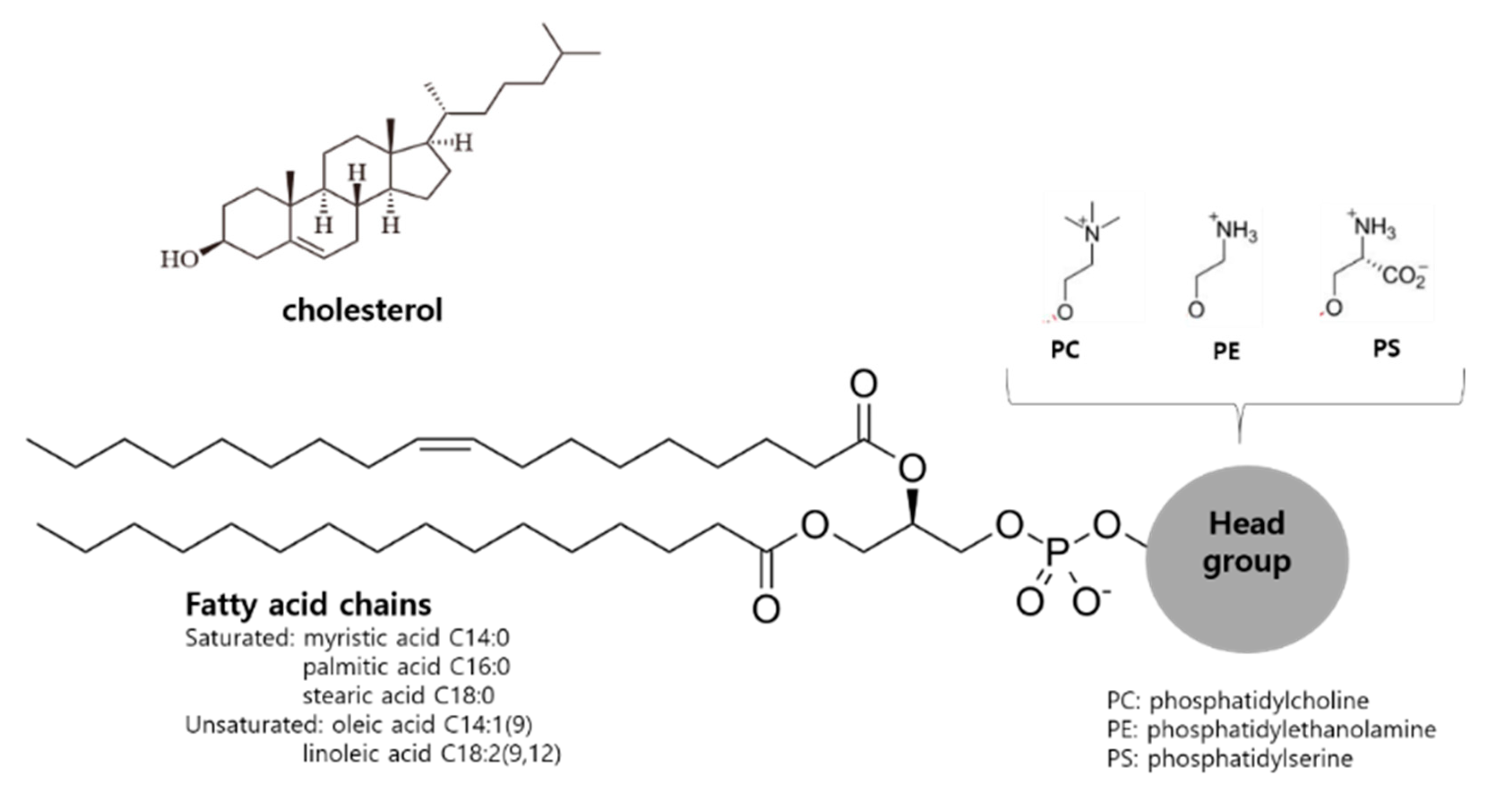 Pharmaceutics 12 00264 g002 Pharmaceutics 12 00264 g002
