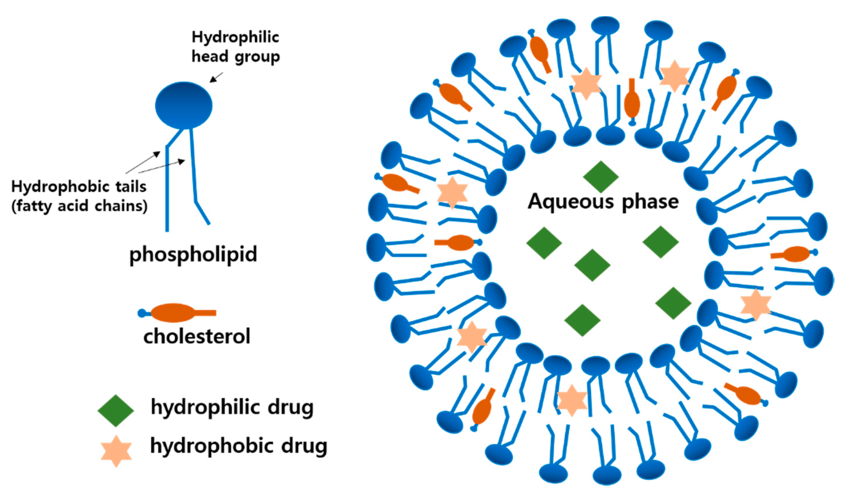 Pharmaceutics 12 00264 g003 Pharmaceutics 12 00264 g003