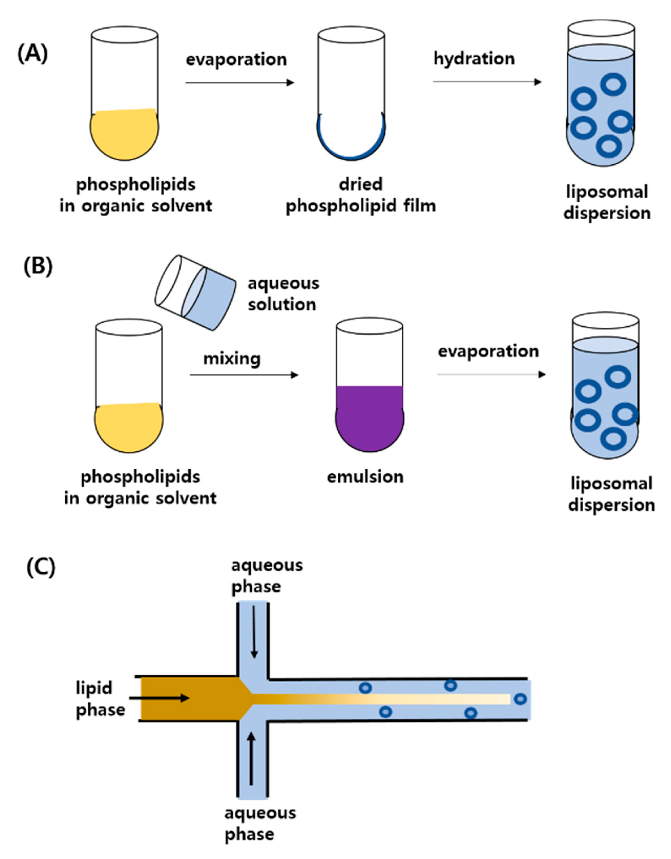 Pharmaceutics 12 00264 g004 Pharmaceutics 12 00264 g004