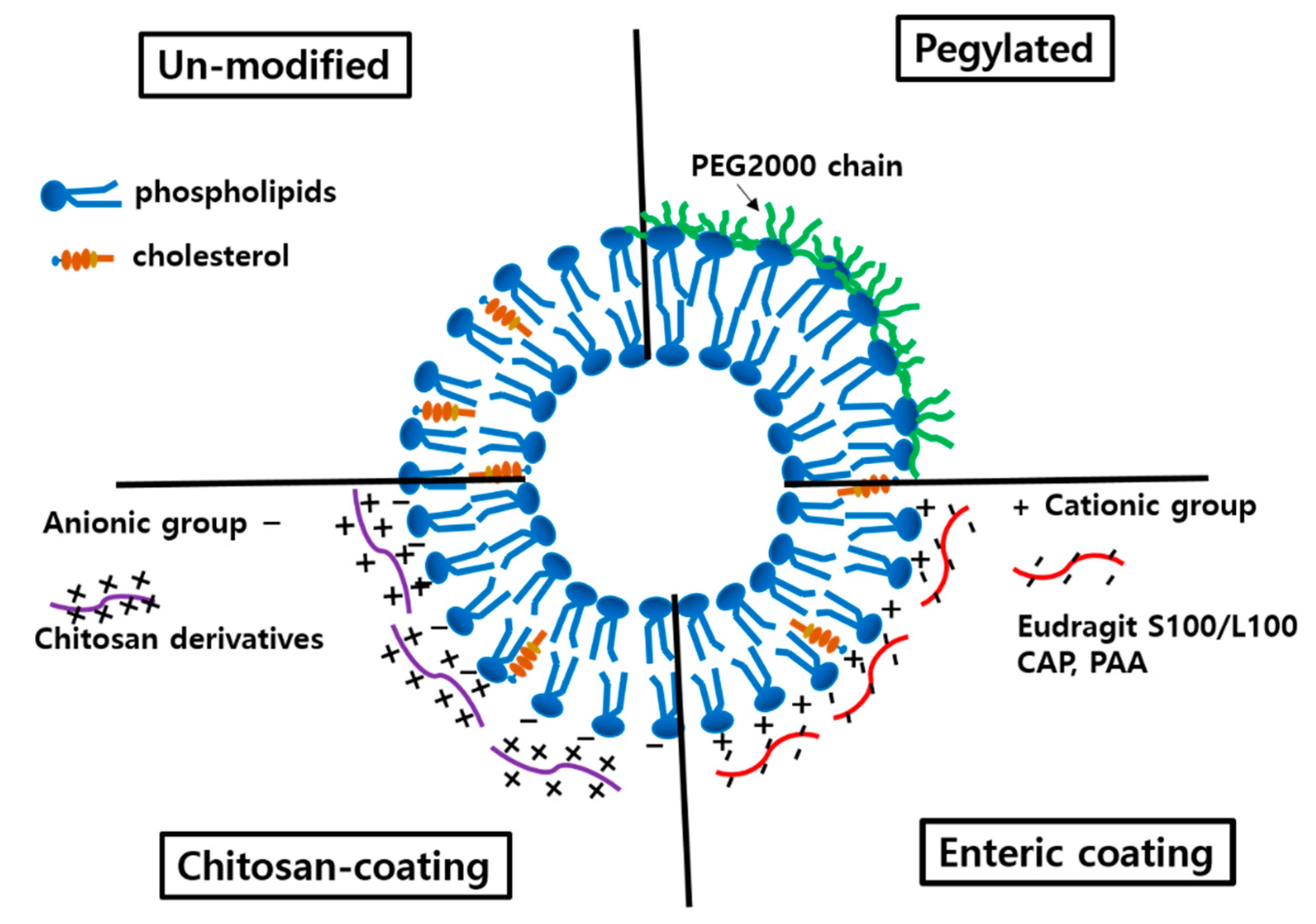 Pharmaceutics 12 00264 g005 Pharmaceutics 12 00264 g005