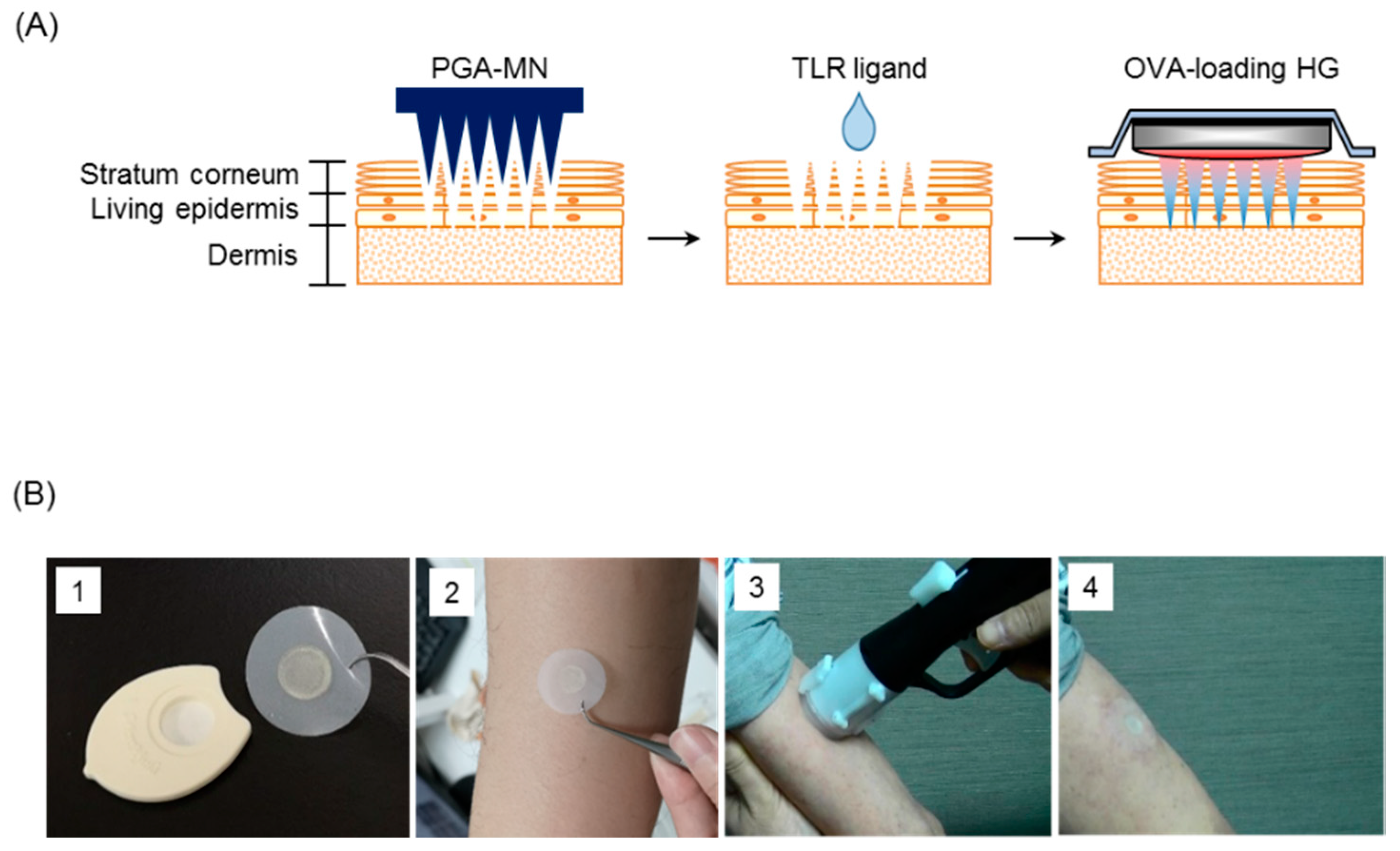Pharmaceutics 12 00267 g001