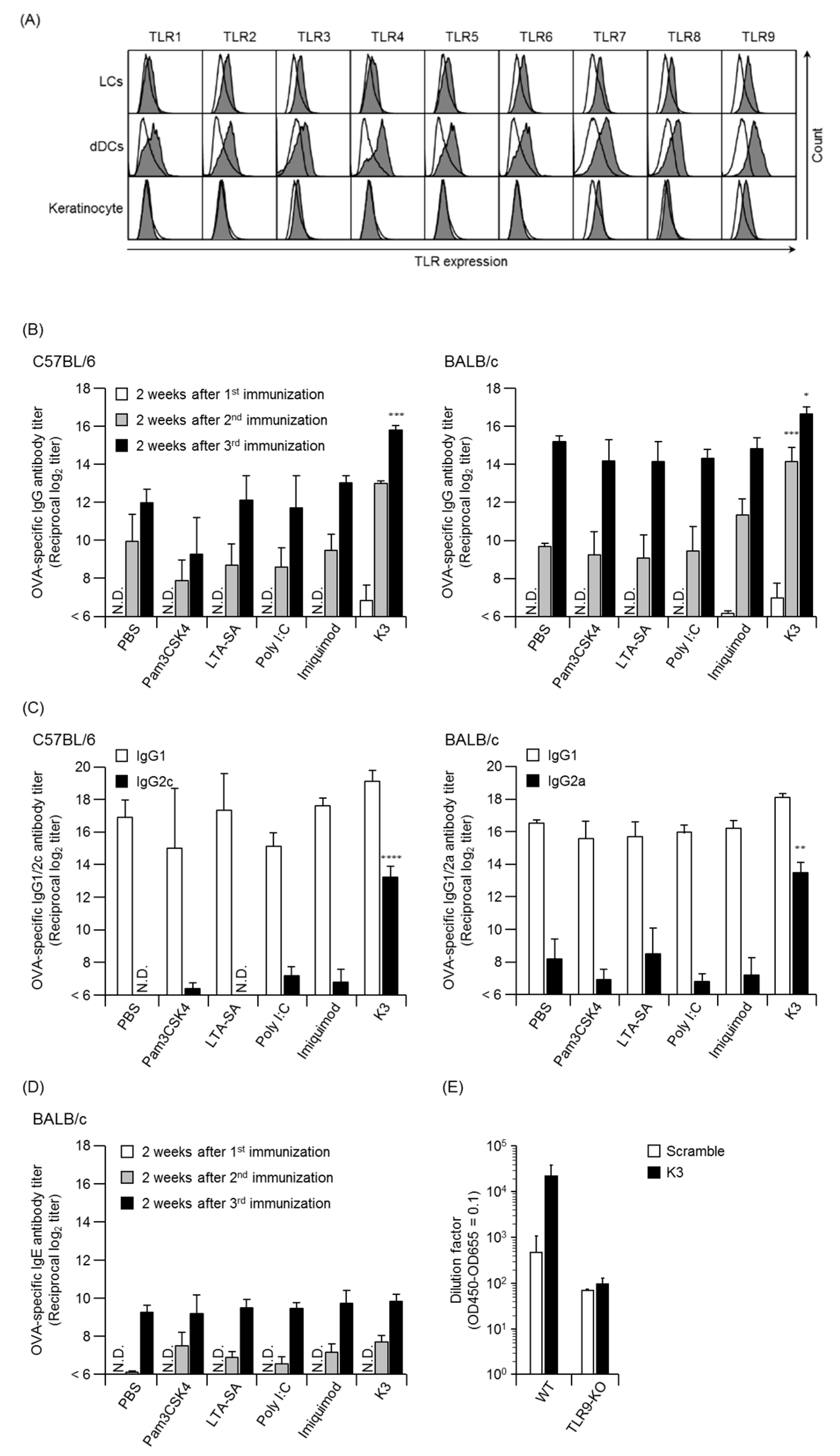 Pharmaceutics 12 00267 g002