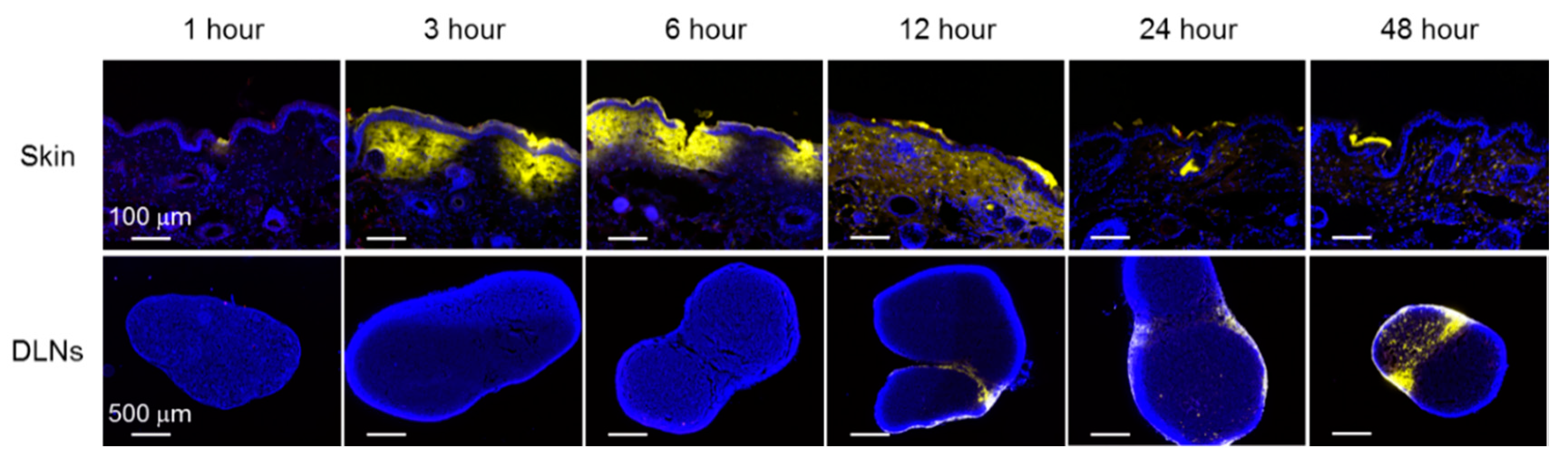 Pharmaceutics 12 00267 g003