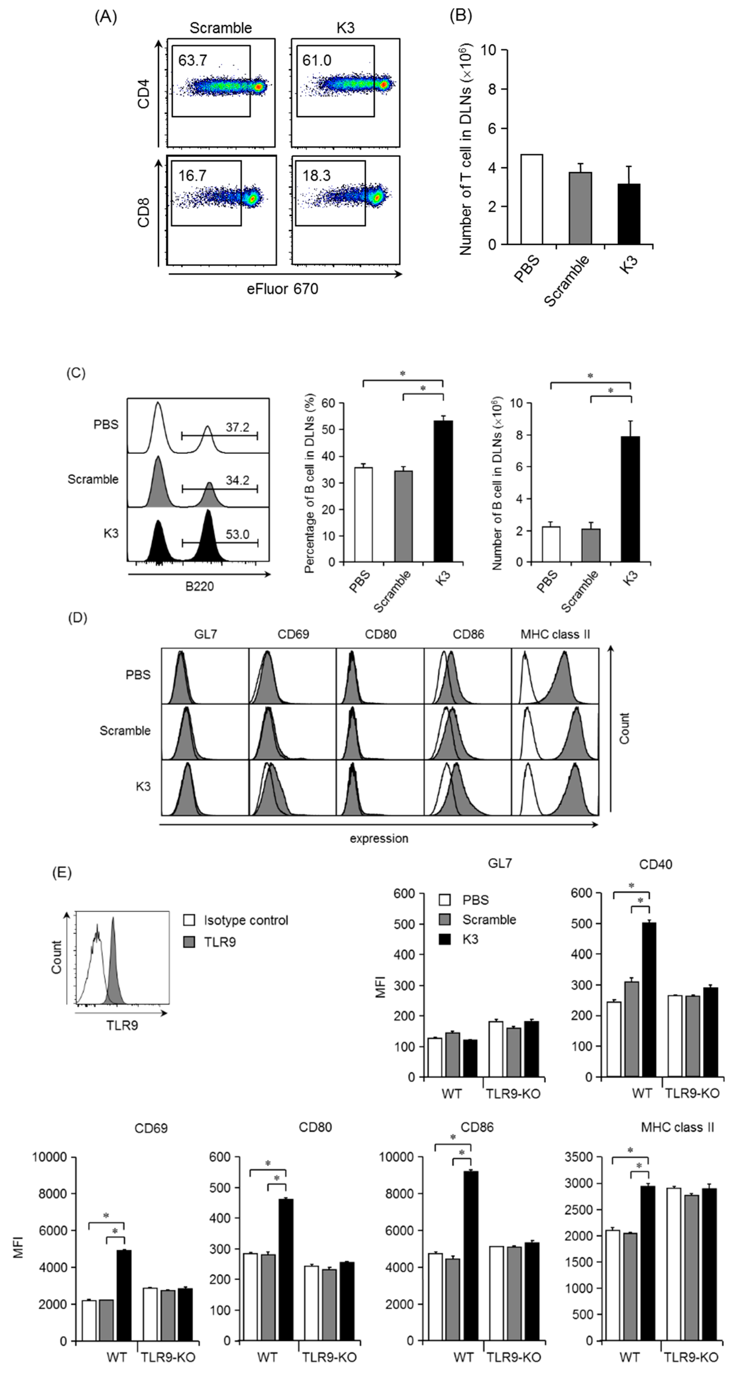 Pharmaceutics 12 00267 g005