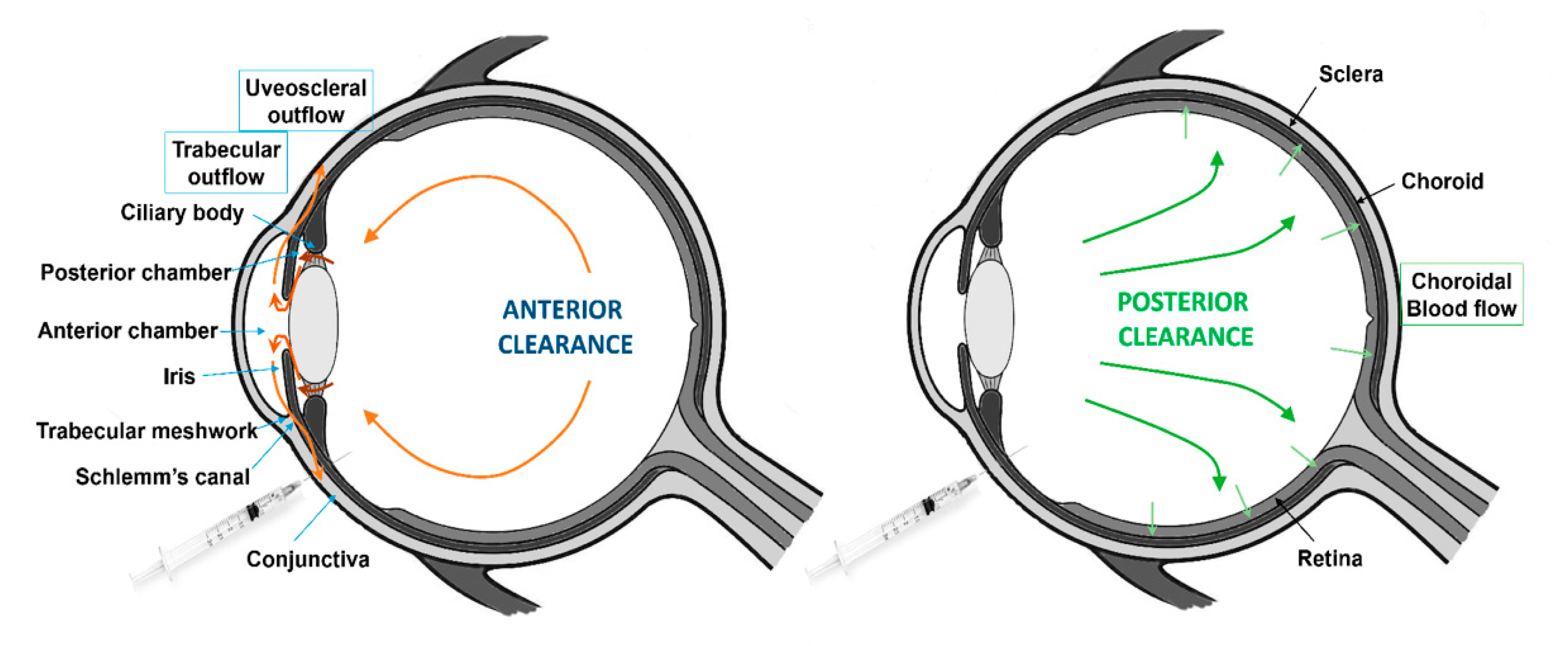 Pharmaceutics 12 00269 g004 Pharmaceutics 12 00269 g004