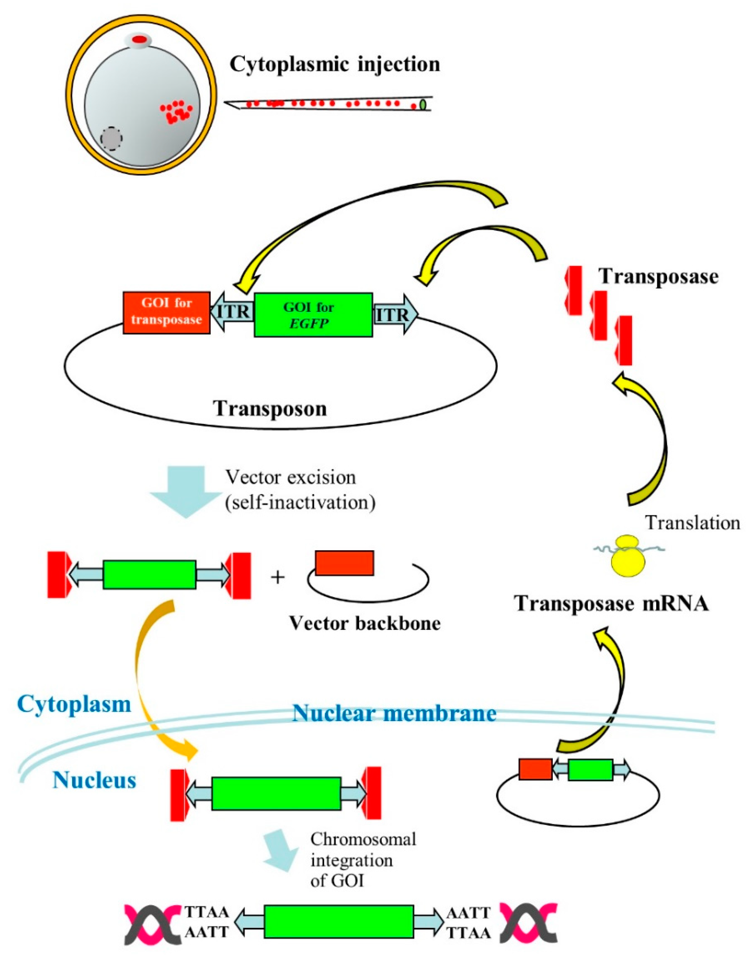 Pharmaceutics 12 00277 g003 Pharmaceutics 12 00277 g003