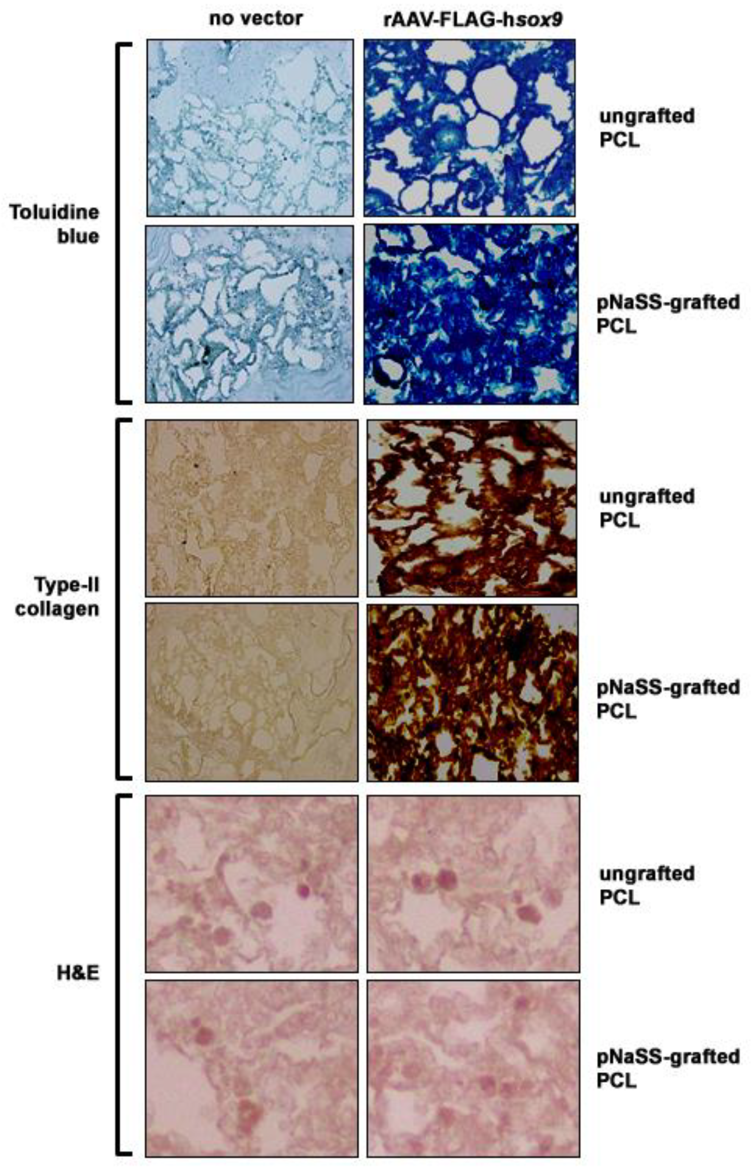 Pharmaceutics 12 00280 g002