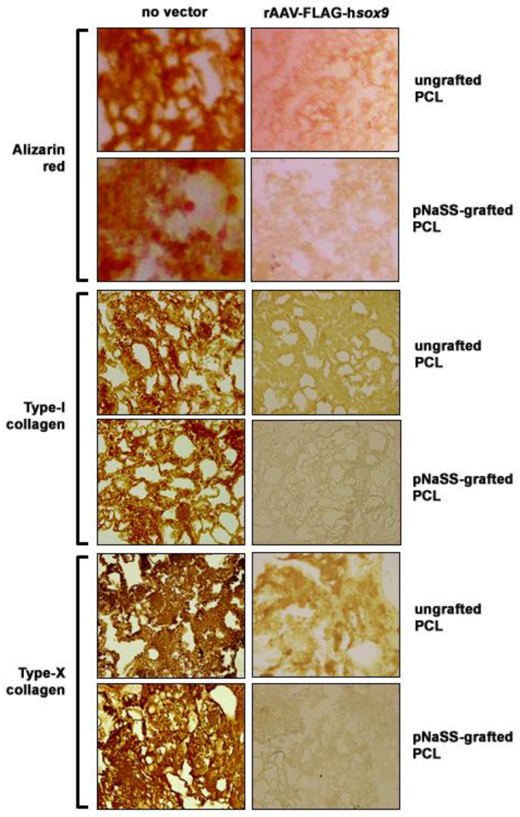 Pharmaceutics 12 00280 g003