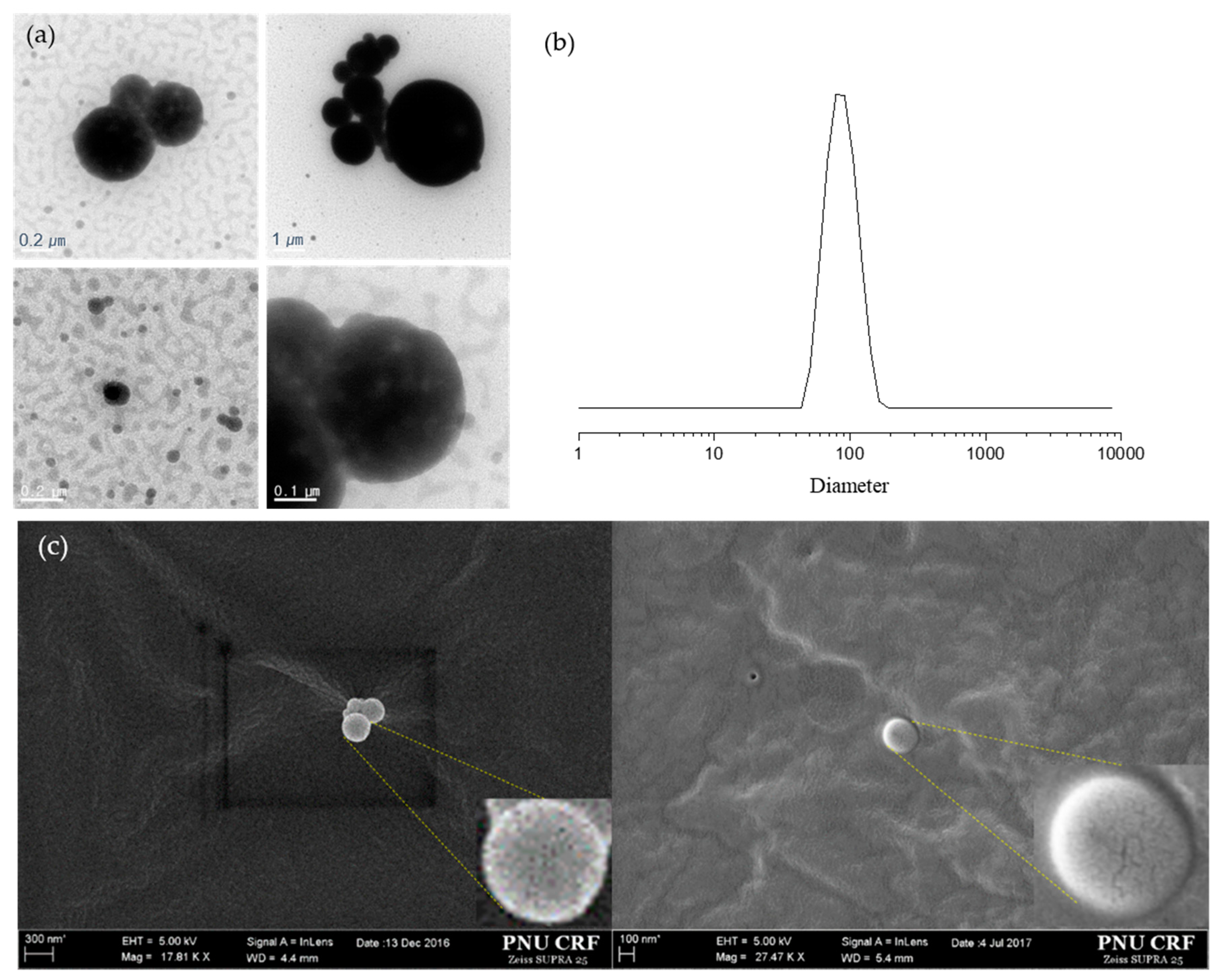 Pharmaceutics 12 00281 g004 Pharmaceutics 12 00281 g004