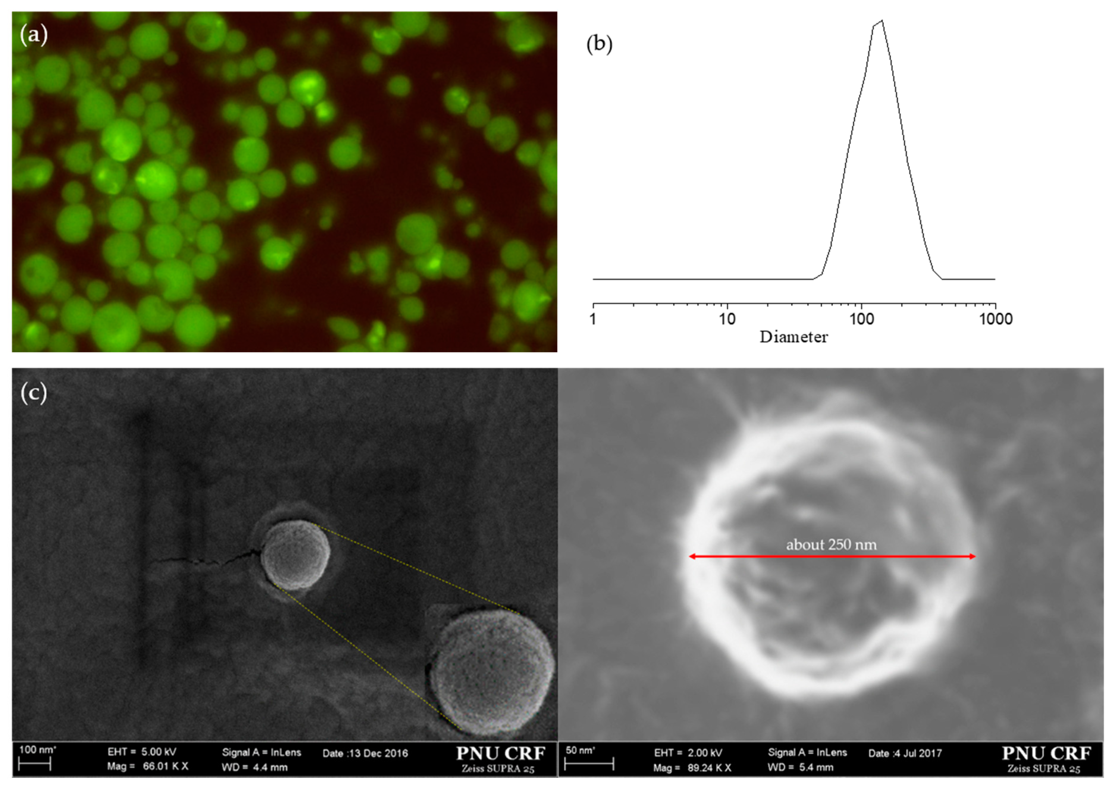 Pharmaceutics 12 00281 g005 Pharmaceutics 12 00281 g005