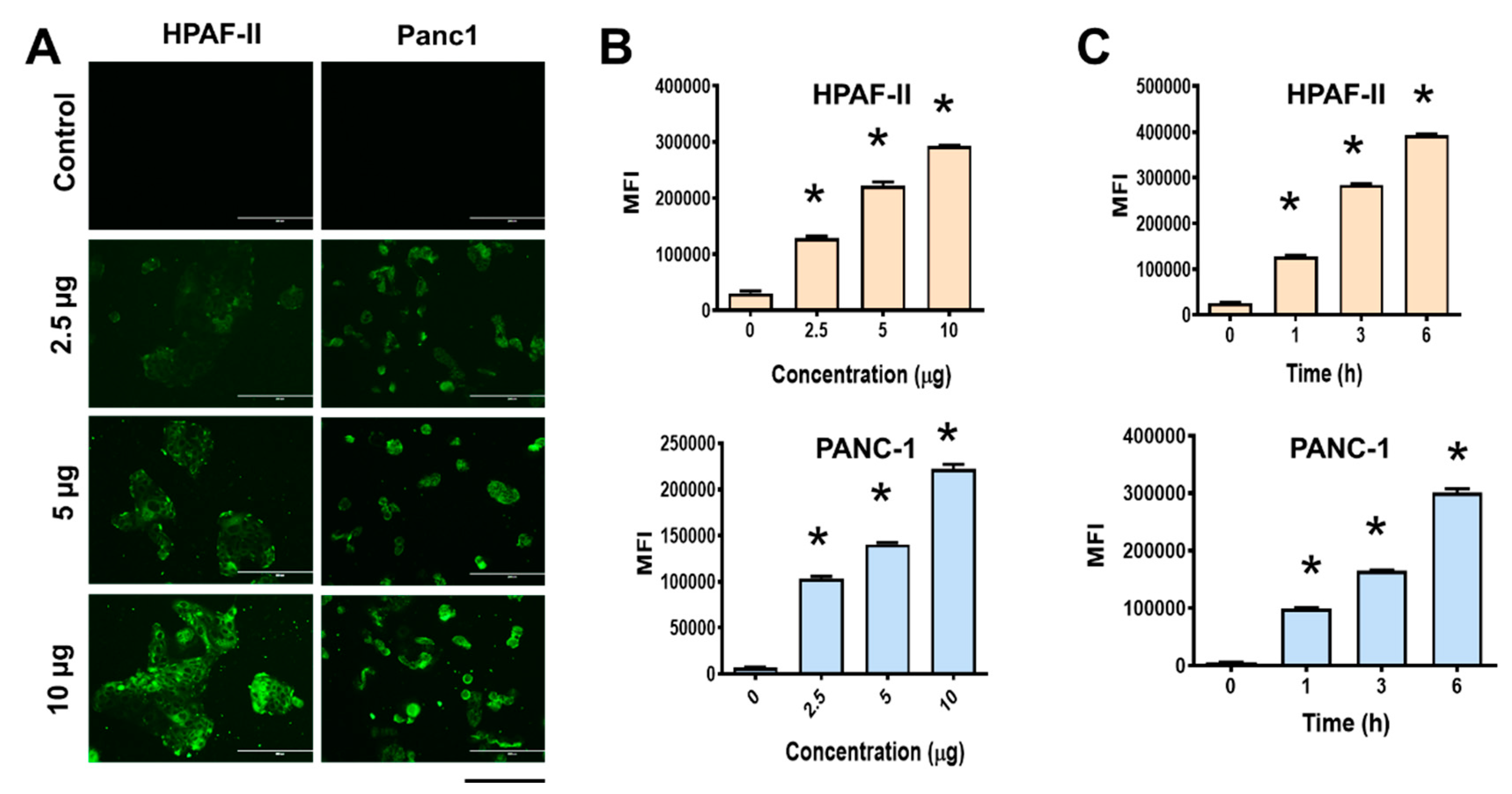 Pharmaceutics 12 00285 g004