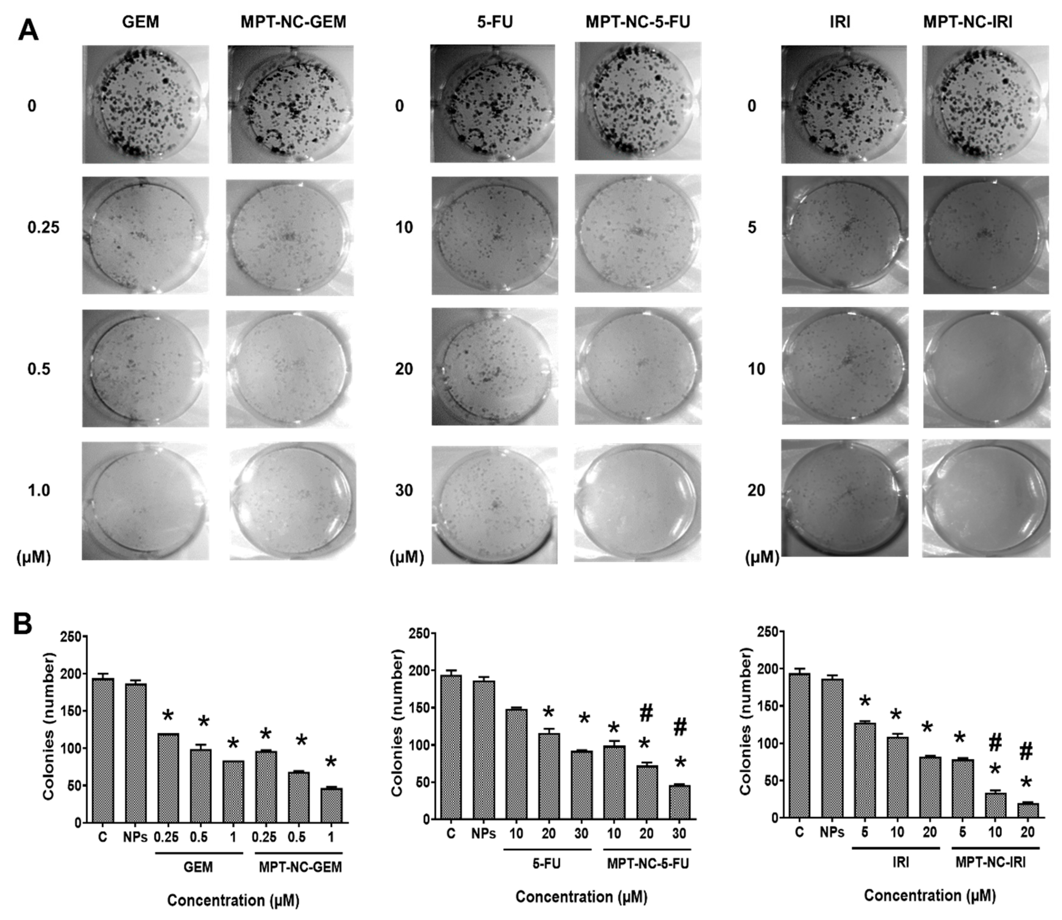 Pharmaceutics 12 00285 g006