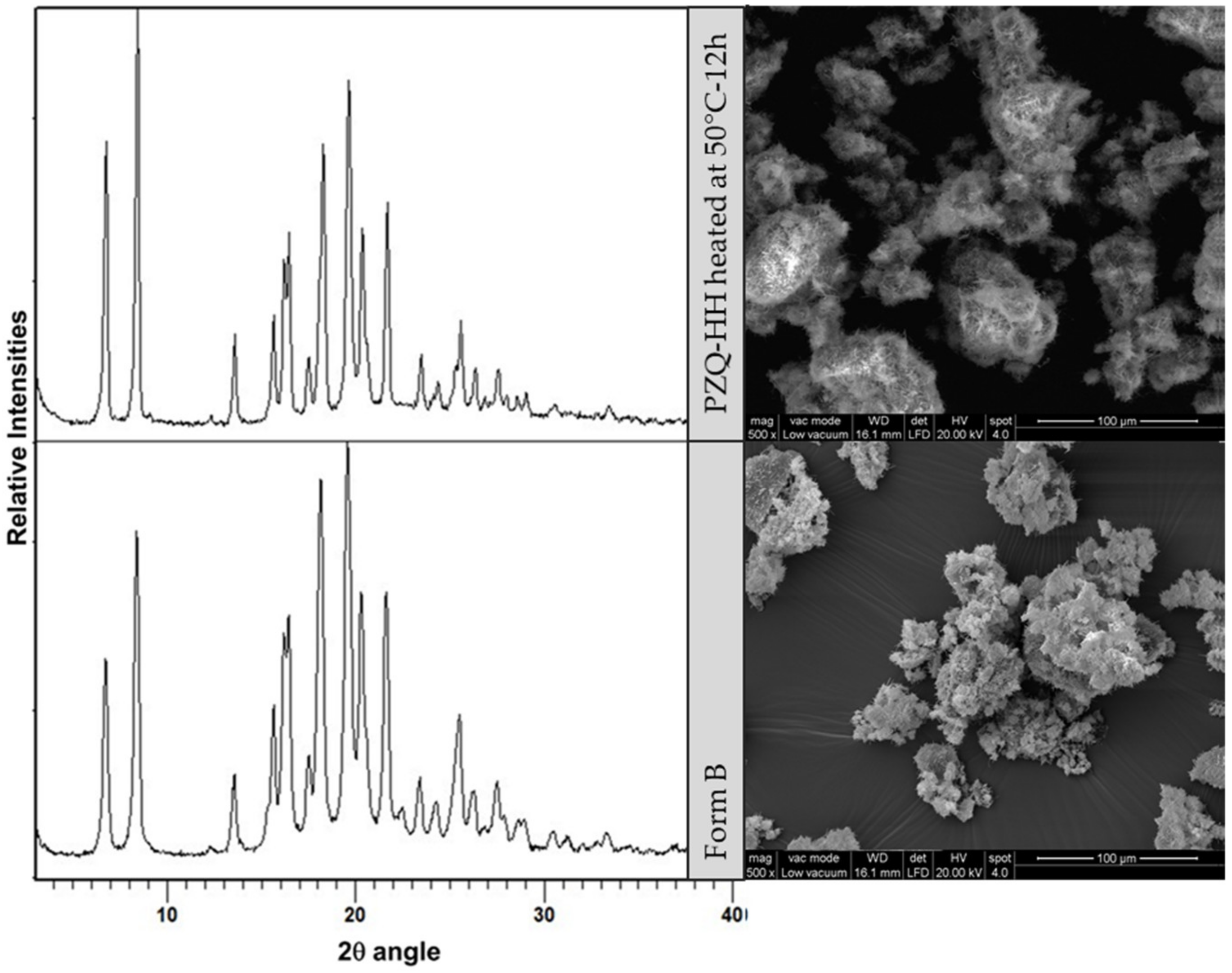 Pharmaceutics 12 00289 g012 Pharmaceutics 12 00289 g012