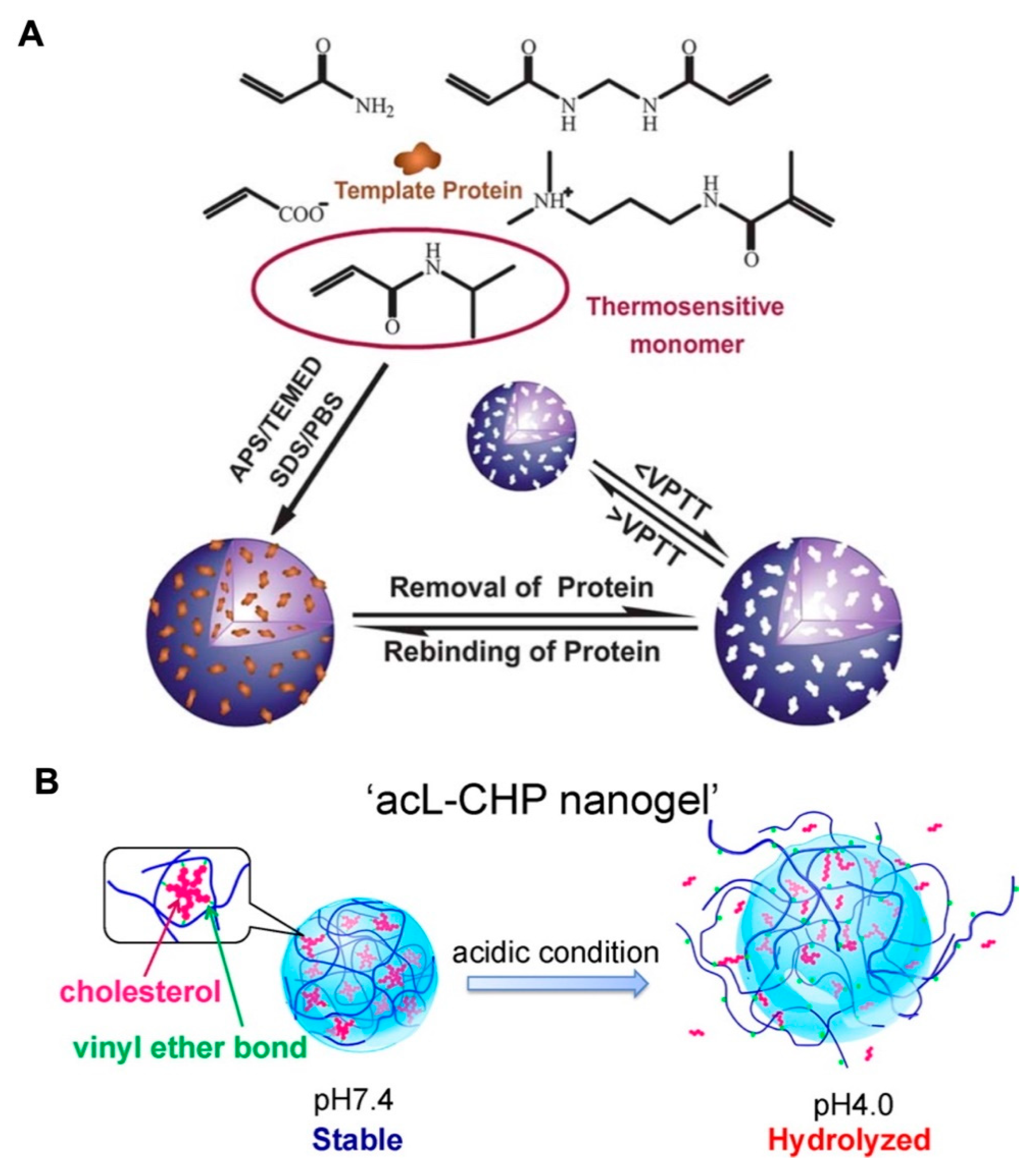 Pharmaceutics 12 00290 g003