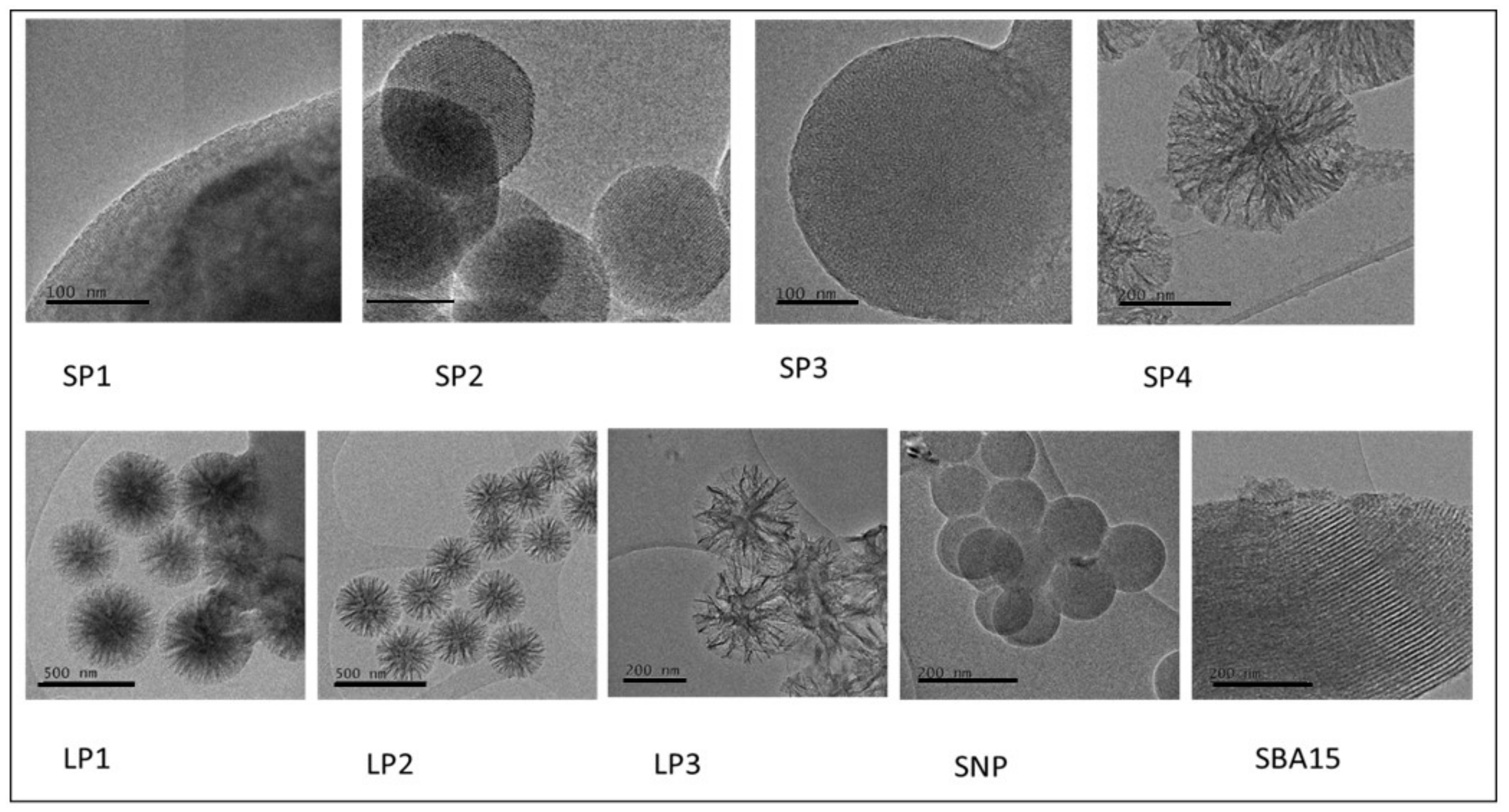 Pharmaceutics 12 00294 g002 Pharmaceutics 12 00294 g002