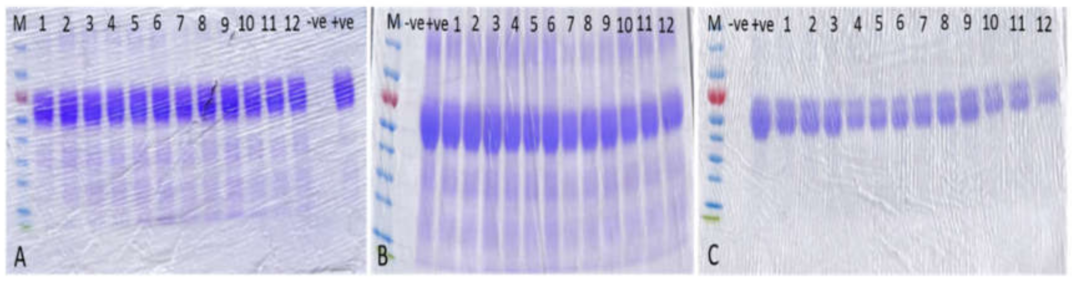 Pharmaceutics 12 00294 g006 Pharmaceutics 12 00294 g006