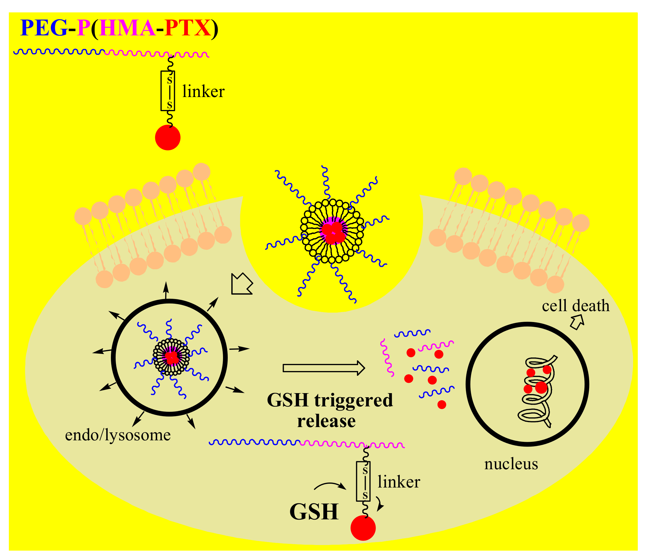 Pharmaceutics 12 00298 g004
