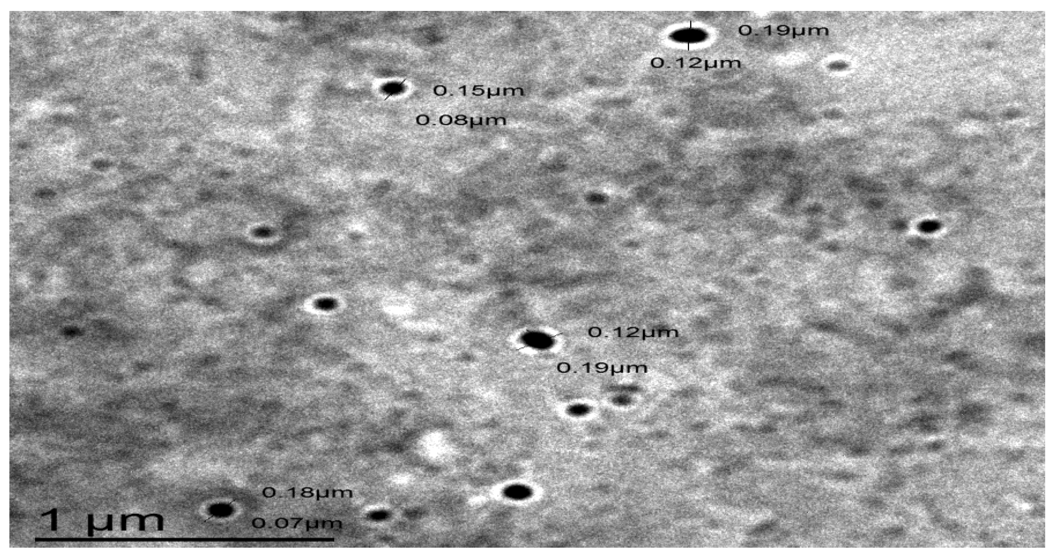 Pharmaceutics 12 00300 g009