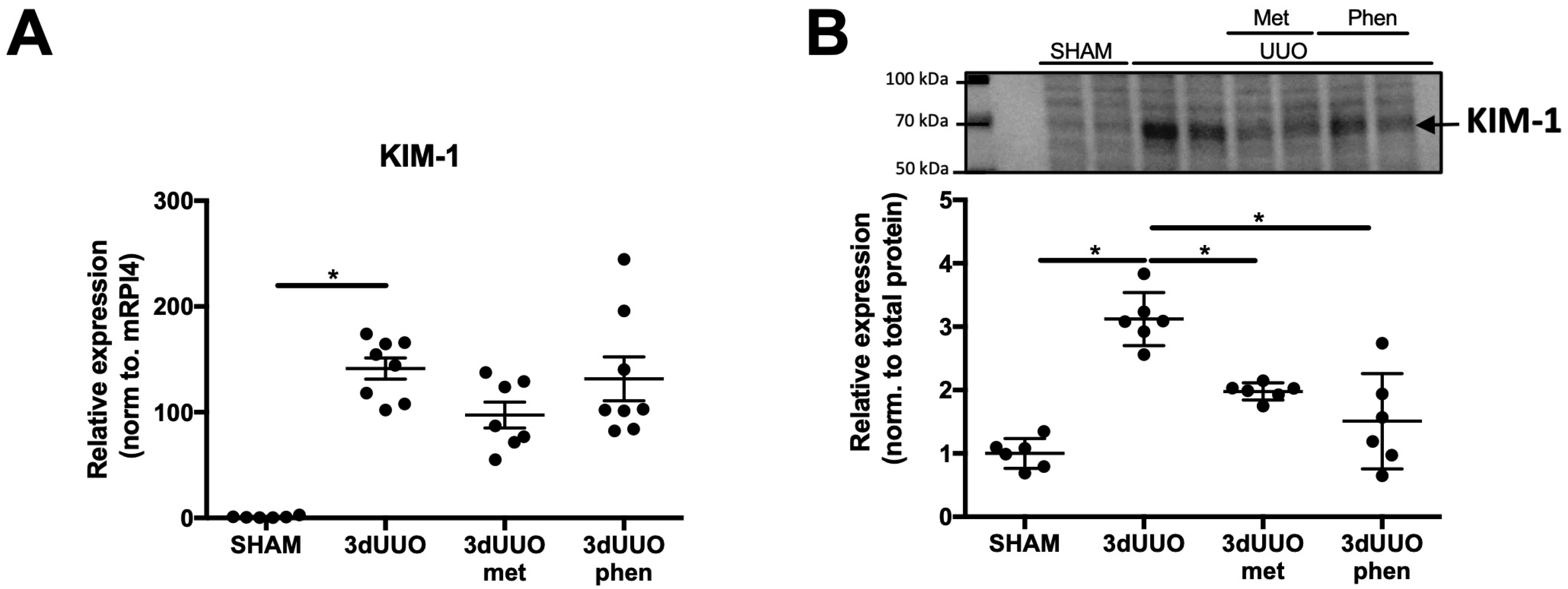 Pharmaceutics 12 00301 g001