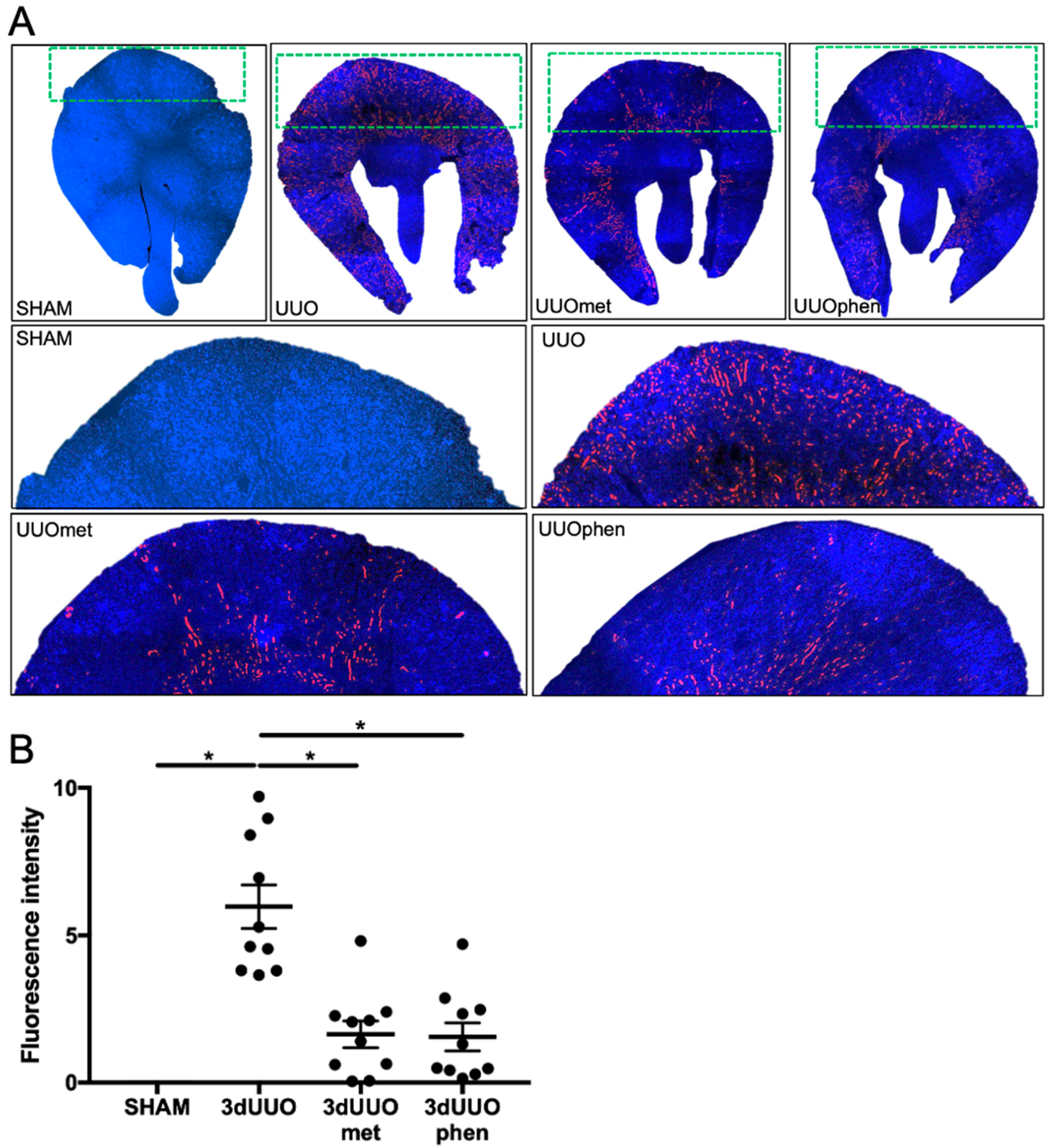 Pharmaceutics 12 00301 g002