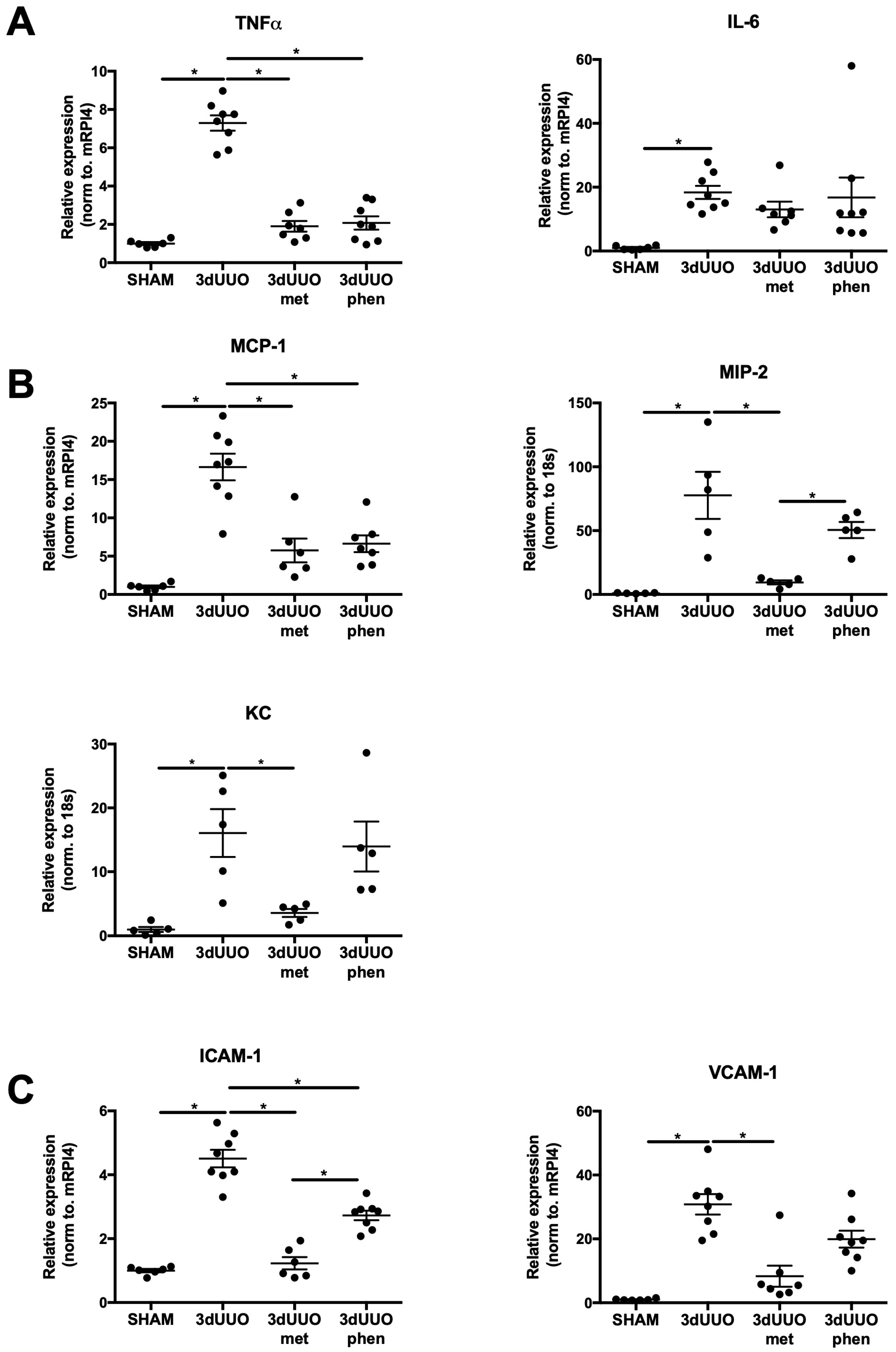 Pharmaceutics 12 00301 g005