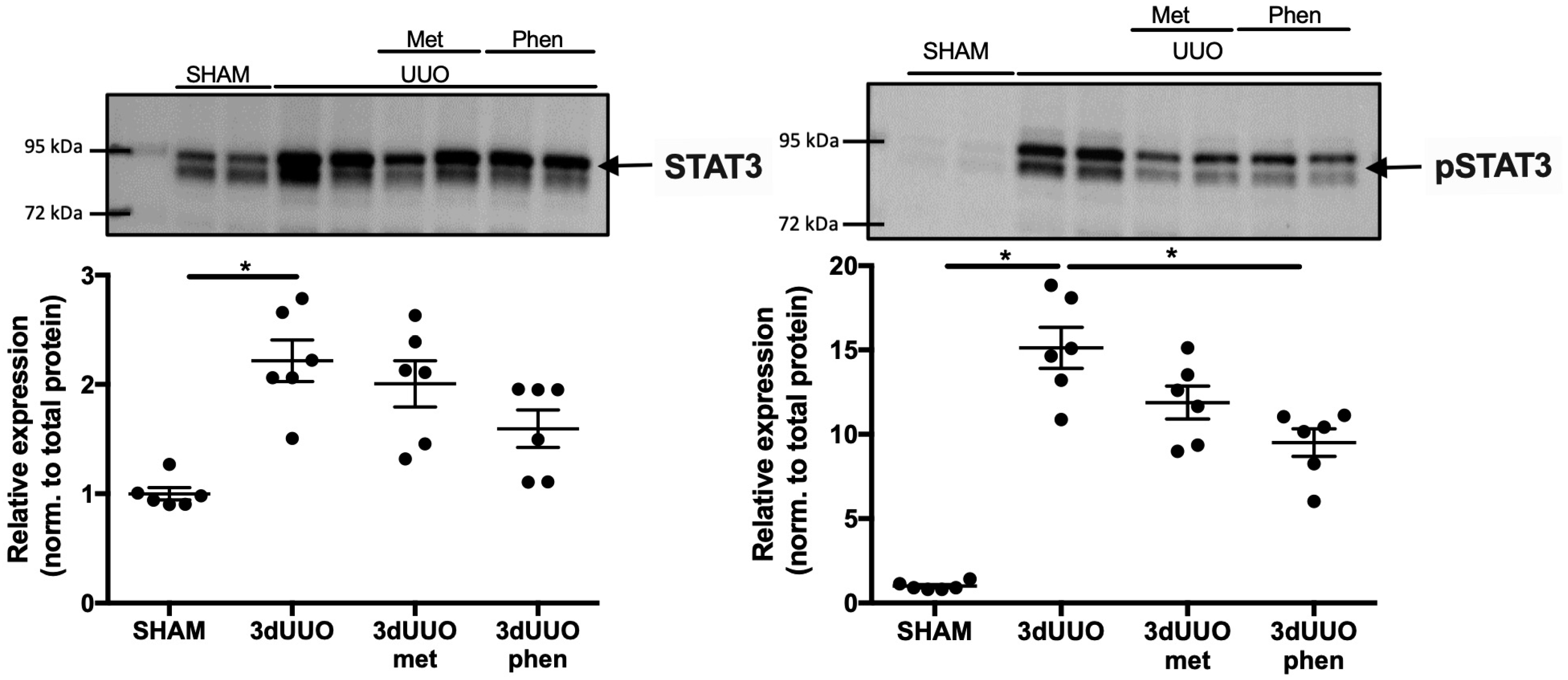 Pharmaceutics 12 00301 g006