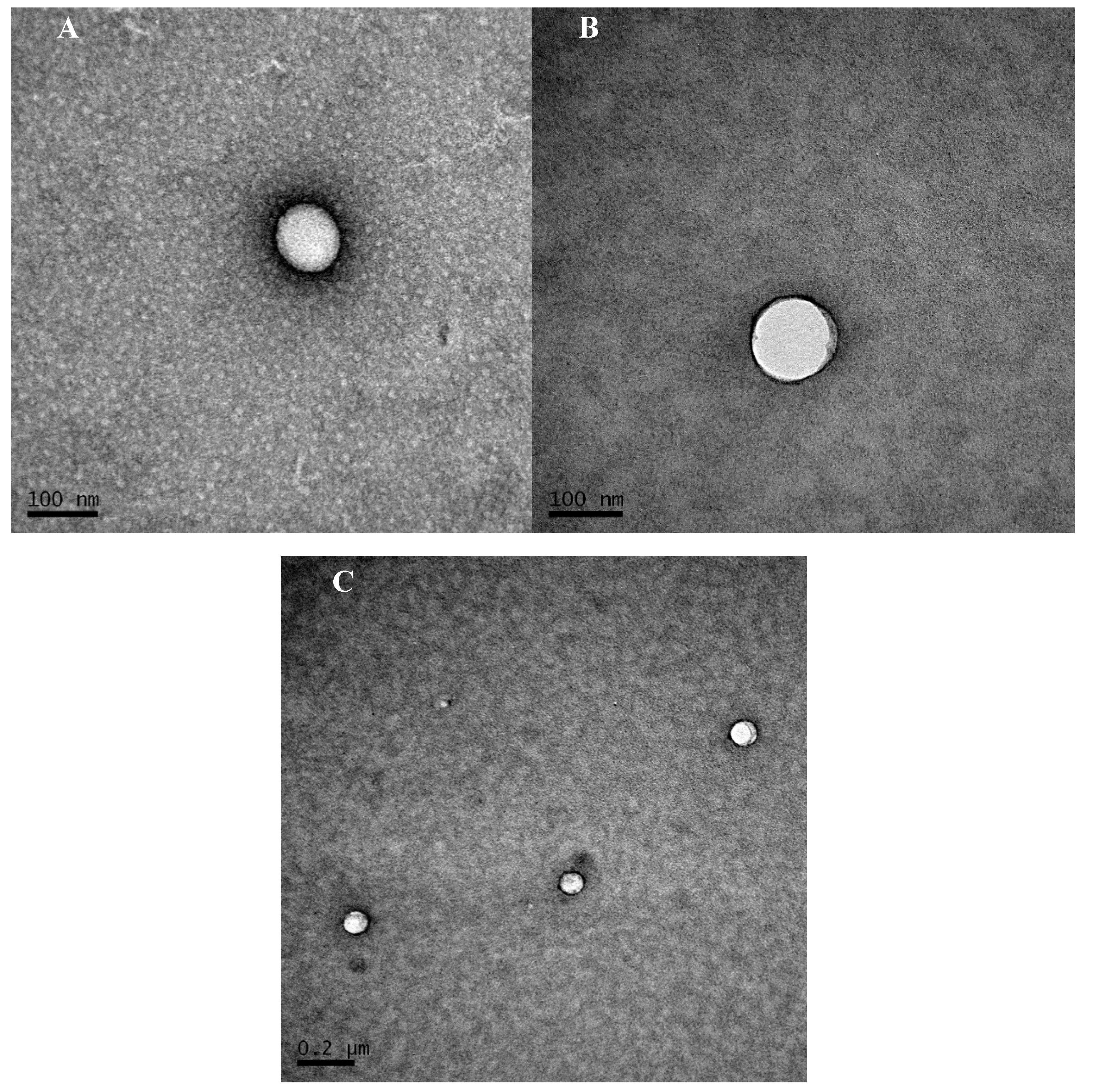 Pharmaceutics 12 00306 g001 Pharmaceutics 12 00306 g001