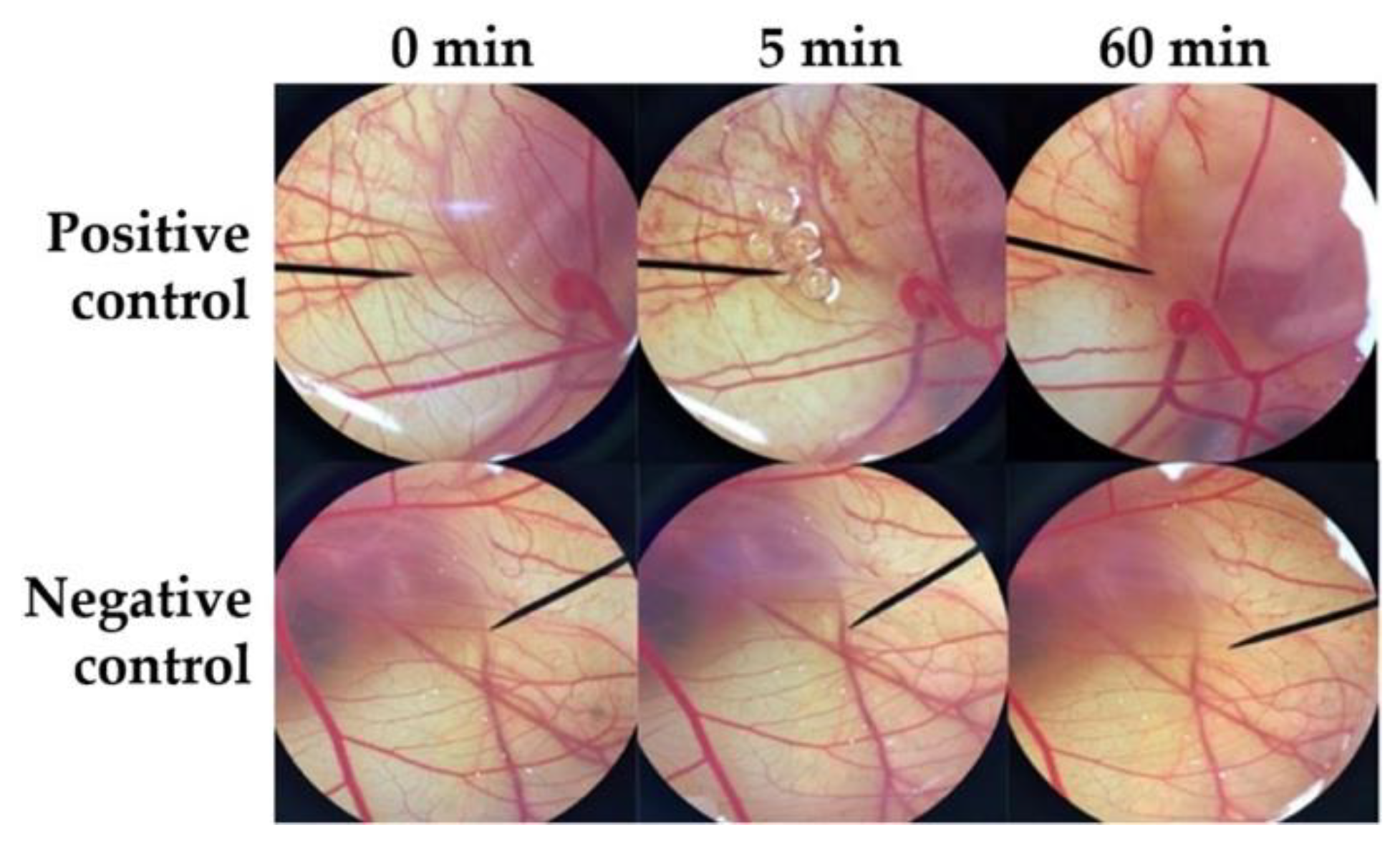 Pharmaceutics 12 00309 g007
