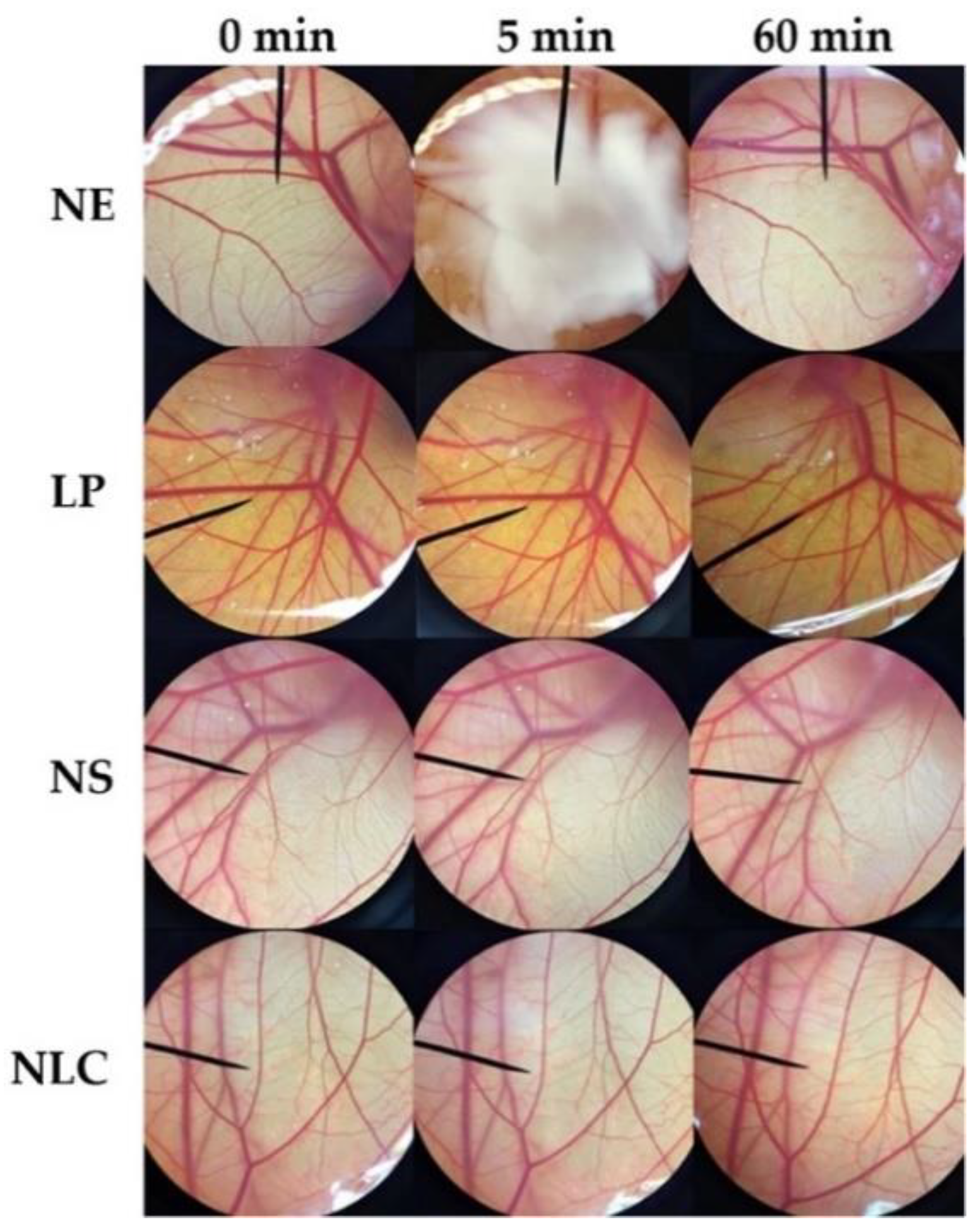 Pharmaceutics 12 00309 g008